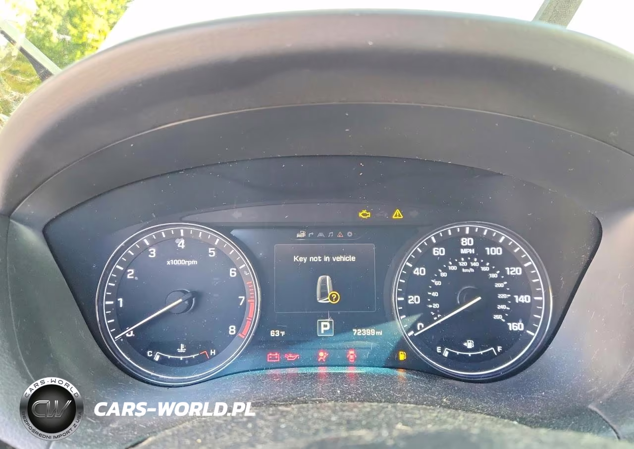 2015 Hyundai Genesis 3.8L VIN:KMHGN4JE4FU081728 - 9