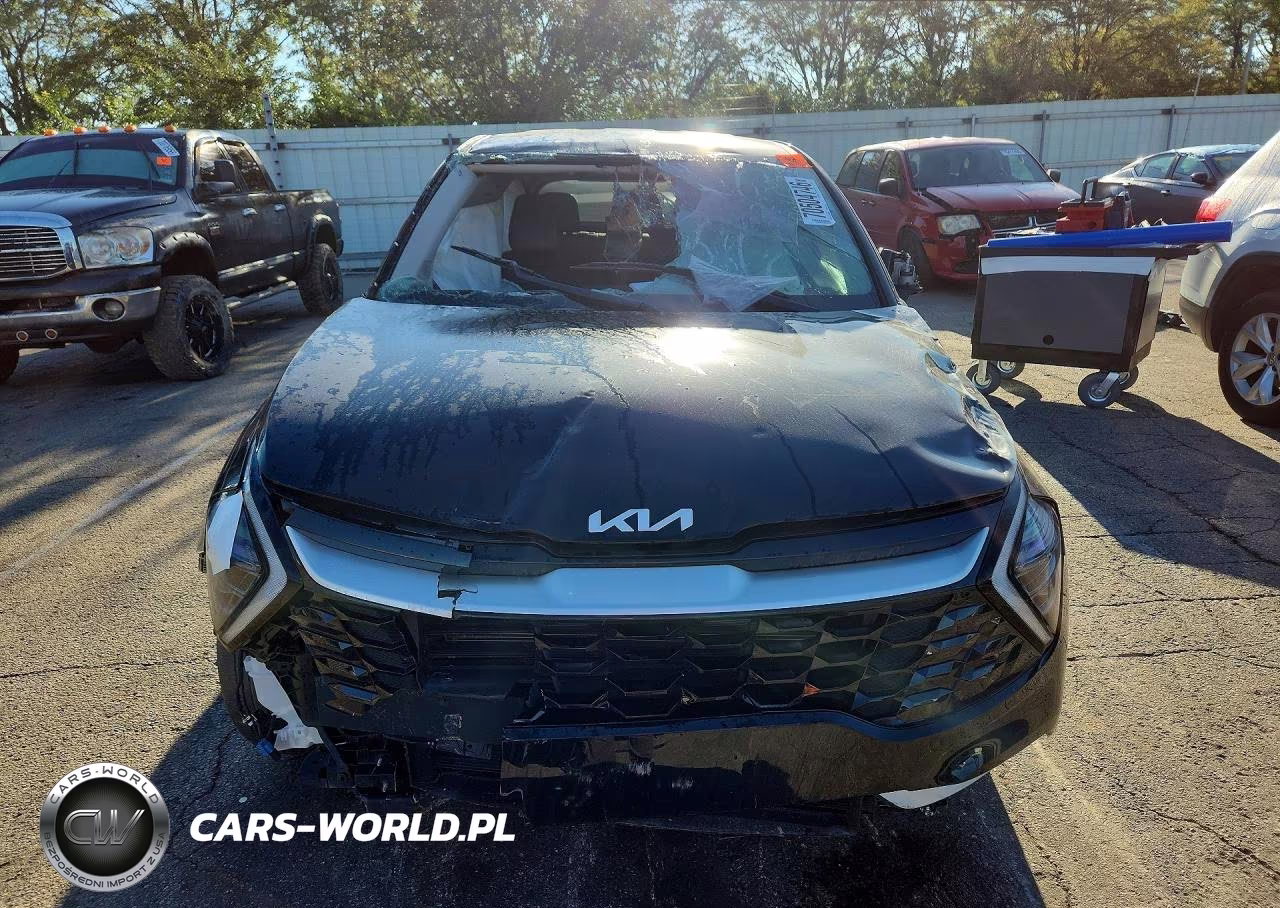 2024 Kia Sportage Ex VIN:5XYK33DF1RG225177 - 5