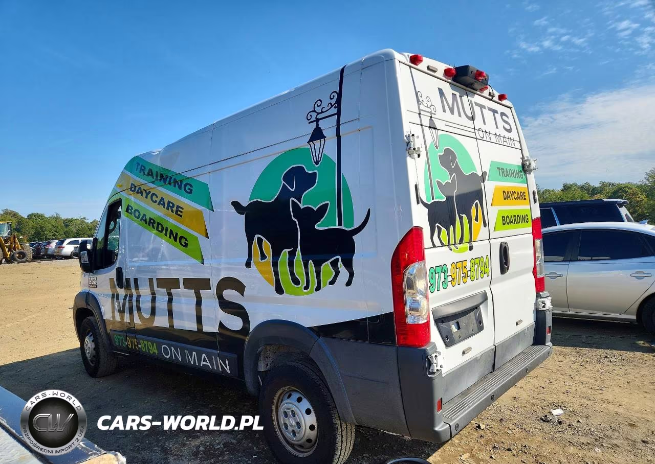 2018 Ram Promaster 1500 Delivery Van VIN:3C6TRVBG4JE118627 - 2