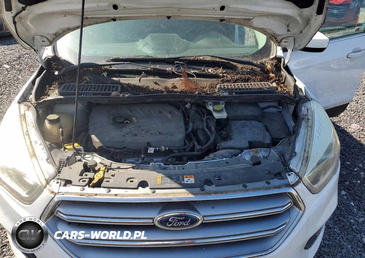 2017 Ford Escape Se VIN:1FMCU0GD0HUE69244 - 12