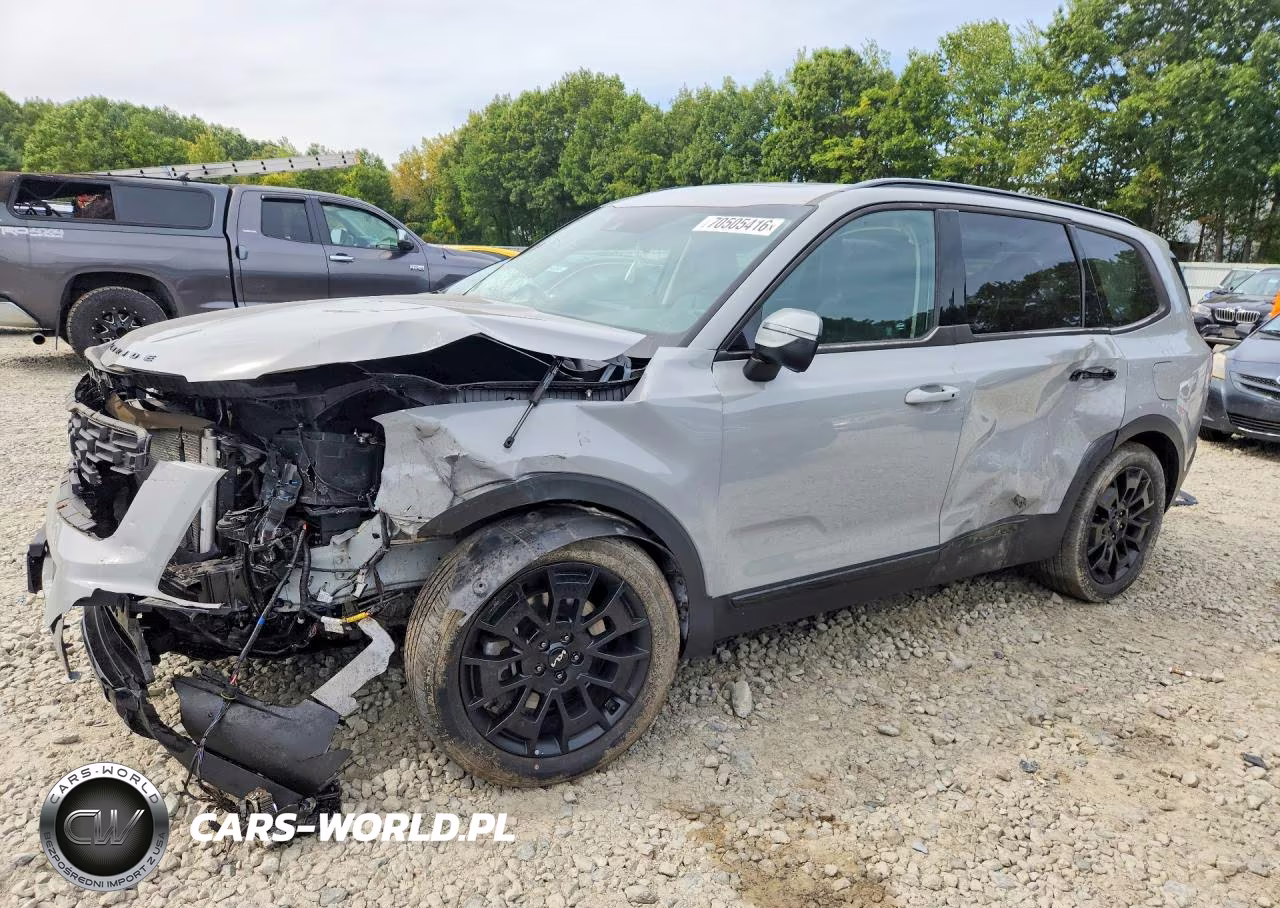 2022 Kia Telluride Ex VIN:5XYP3DHC9NG253797 - 1