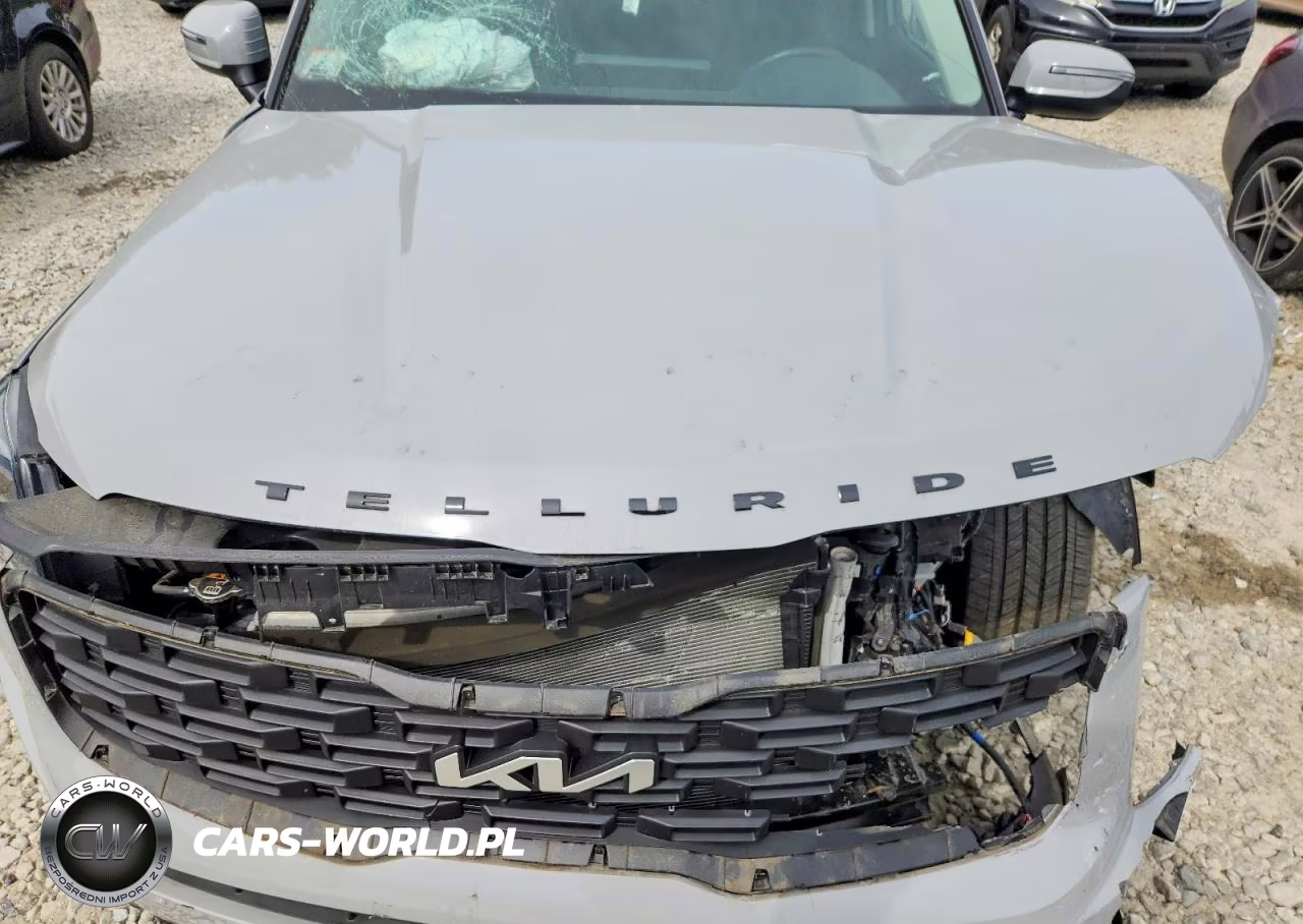 2022 Kia Telluride Ex VIN:5XYP3DHC9NG253797 - 12