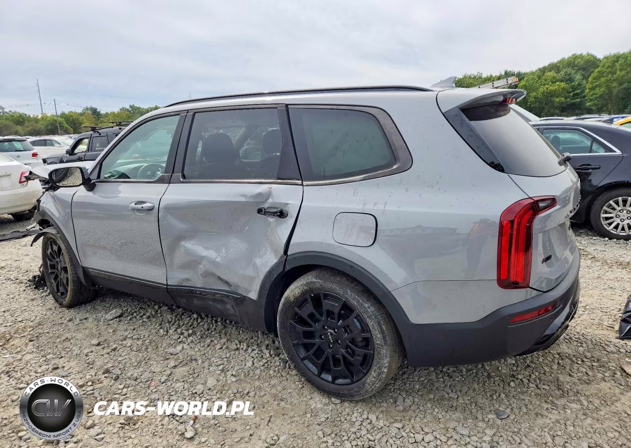 2022 Kia Telluride Ex VIN:5XYP3DHC9NG253797 - 2