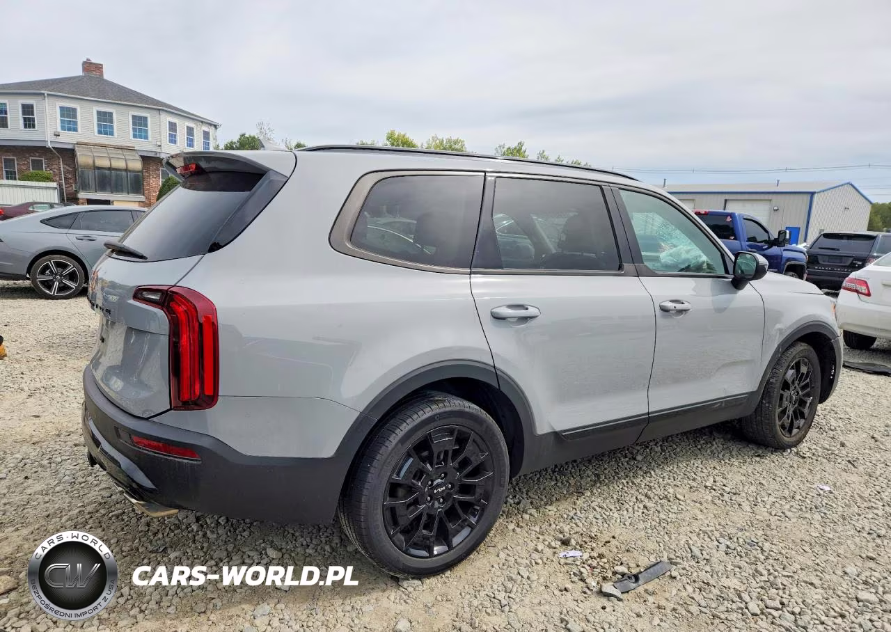 2022 Kia Telluride Ex VIN:5XYP3DHC9NG253797 - 3