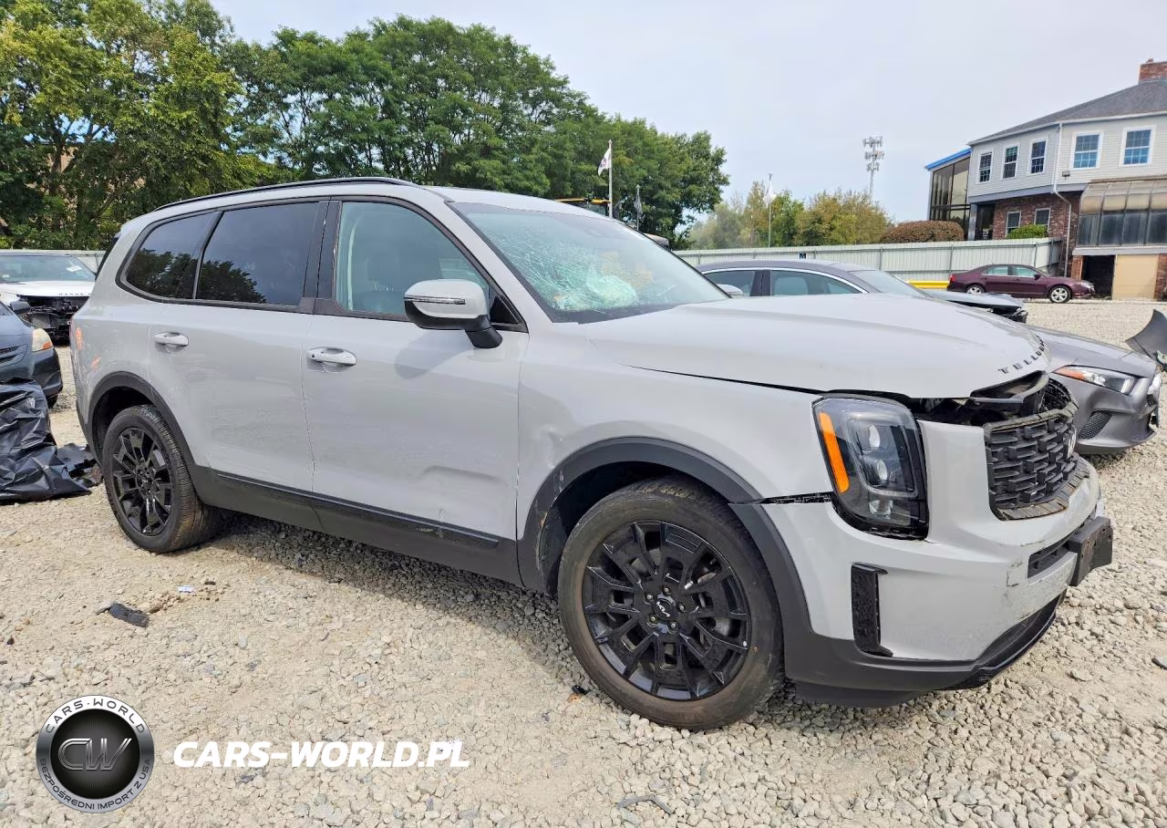 2022 Kia Telluride Ex VIN:5XYP3DHC9NG253797 - 4