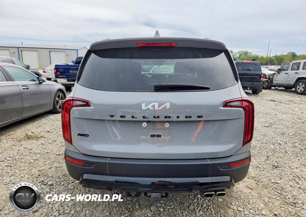 2022 Kia Telluride Ex VIN:5XYP3DHC9NG253797 - 6