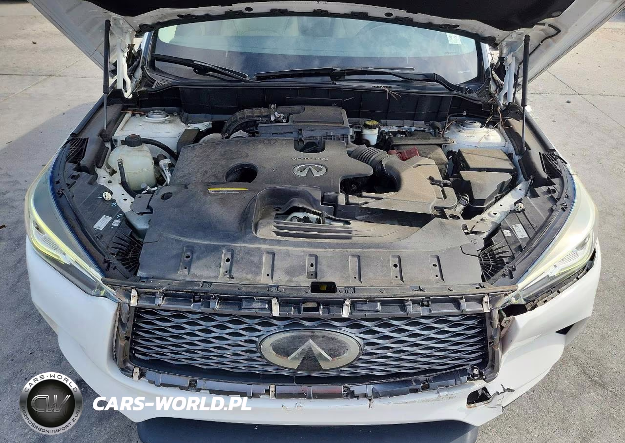 2019 Infiniti Qx50 Luxe VIN:3PCAJ5M15KF137621 - 12