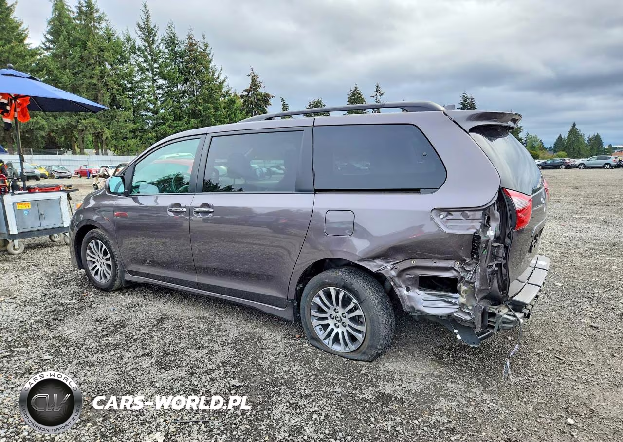 2020 Toyota Sienna Xle Premium 8-Passenger VIN:5TDYZ3DC7LS078047 - 2