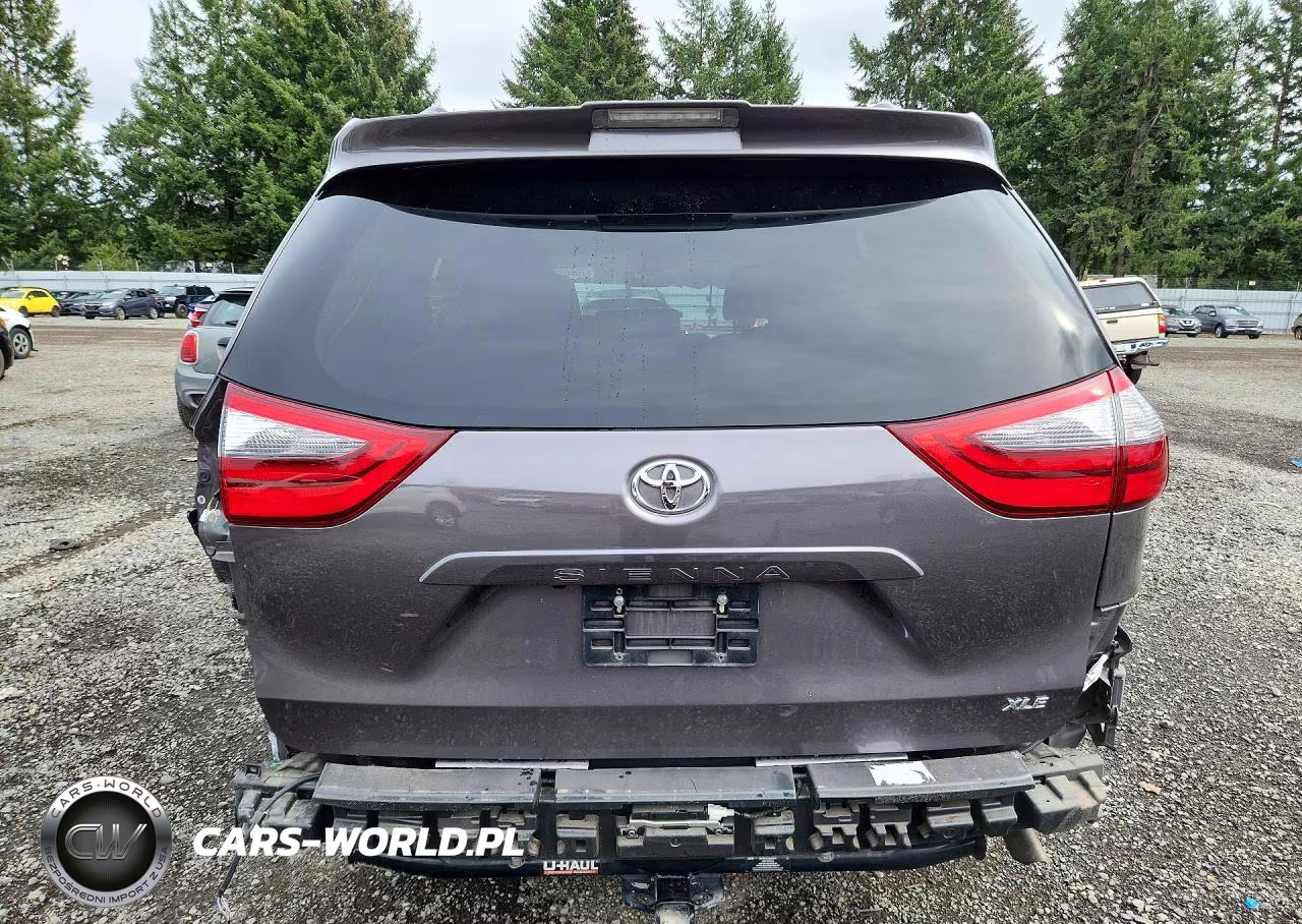 2020 Toyota Sienna Xle Premium 8-Passenger VIN:5TDYZ3DC7LS078047 - 6