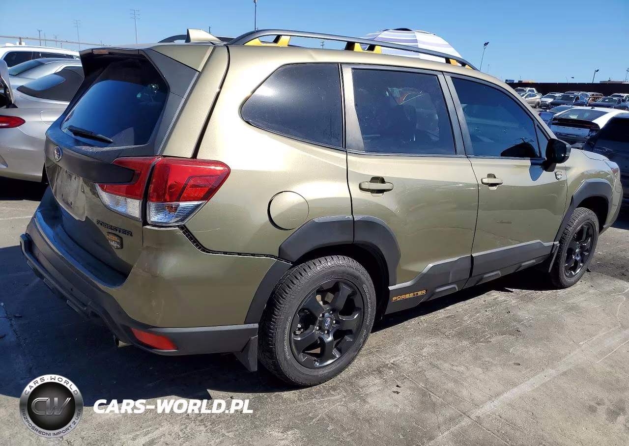 2023 Subaru Forester Wilderness VIN:JF2SKAMC3PH435007 - 3