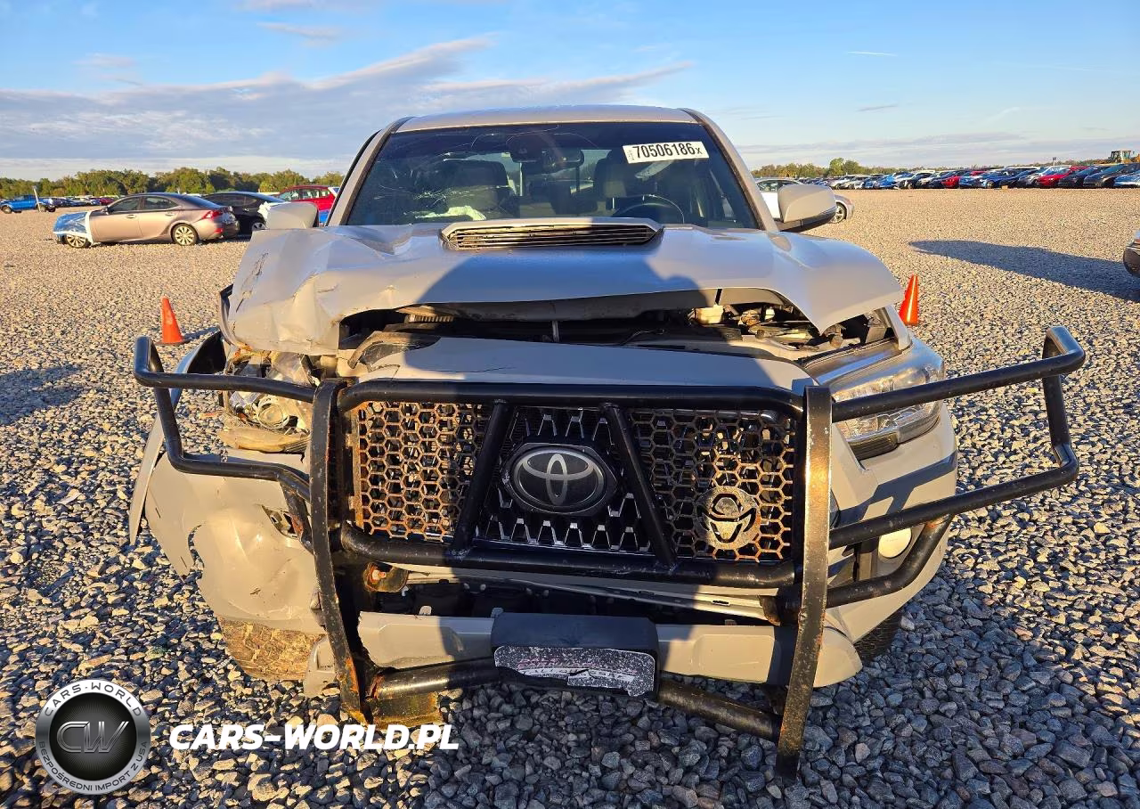2019 Toyota Tacoma Trd Sport VIN:3TMAZ5CN5KM113957 - 5