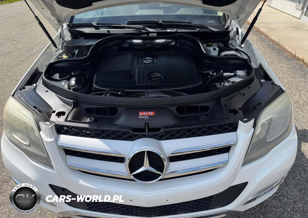 2013 Mercedes-Benz Glk 250 Bluetec VIN:WDCGG0EB1DG121664 - 7