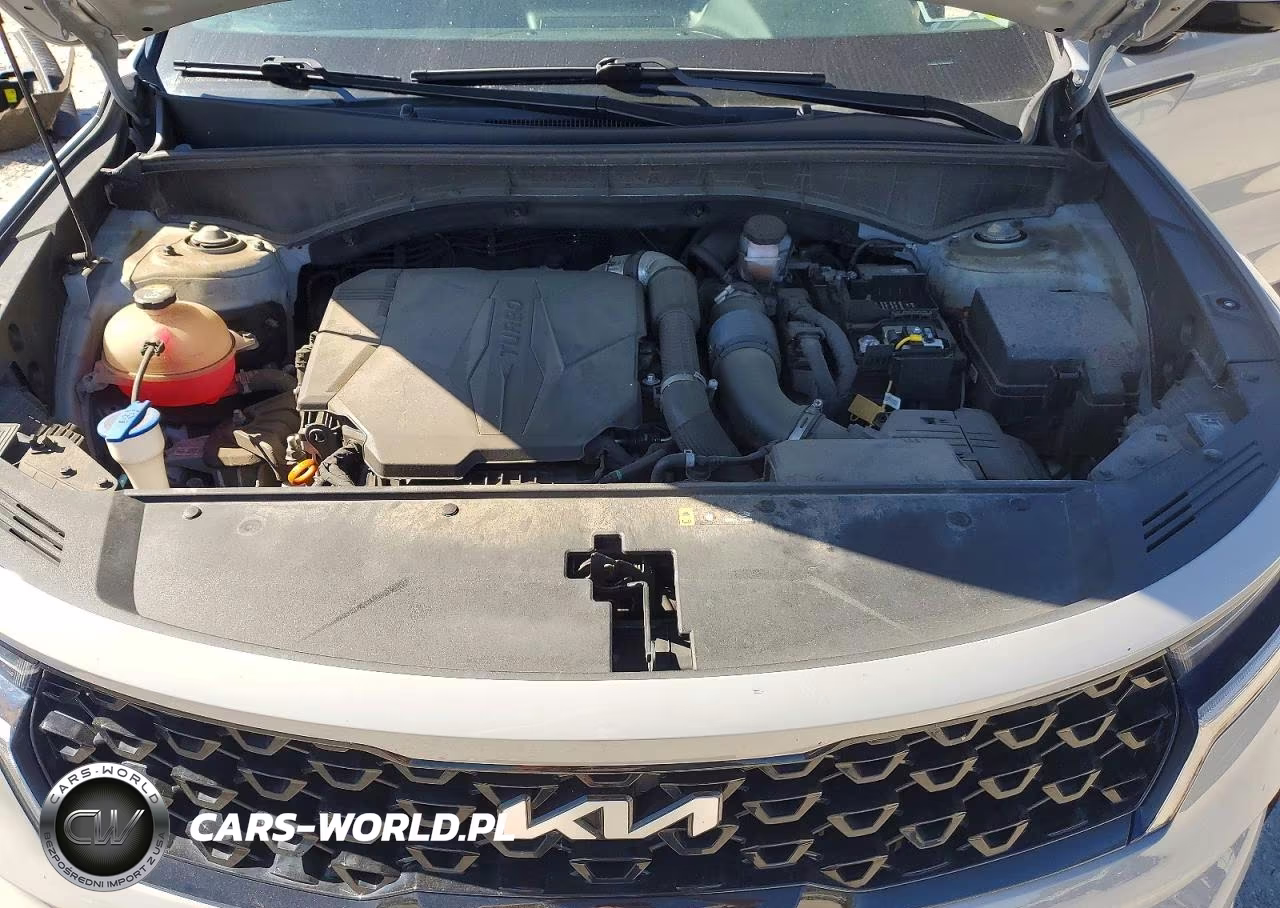 2023 Kia Sorento Sx VIN:5XYRKDLF9PG189390 - 12