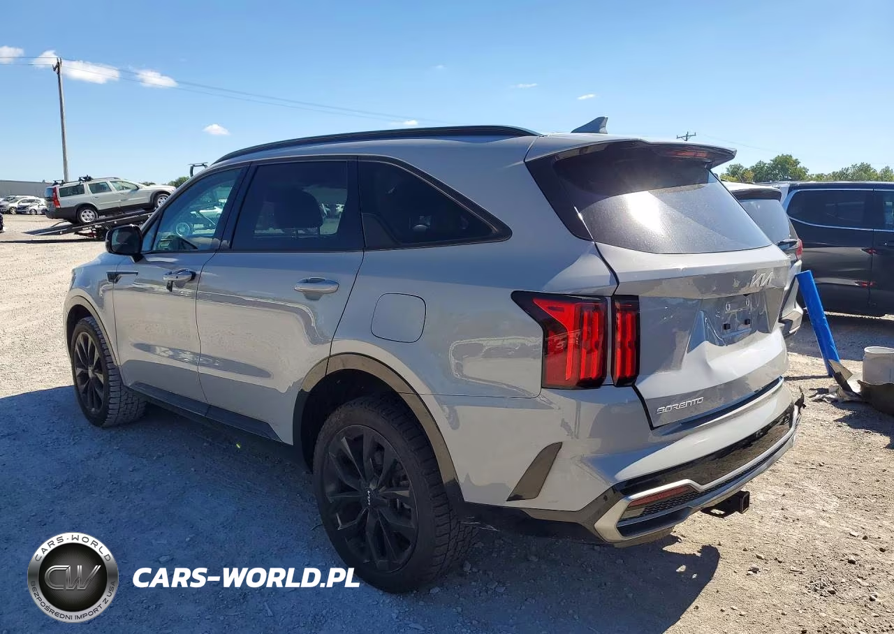 2023 Kia Sorento Sx VIN:5XYRKDLF9PG189390 - 2