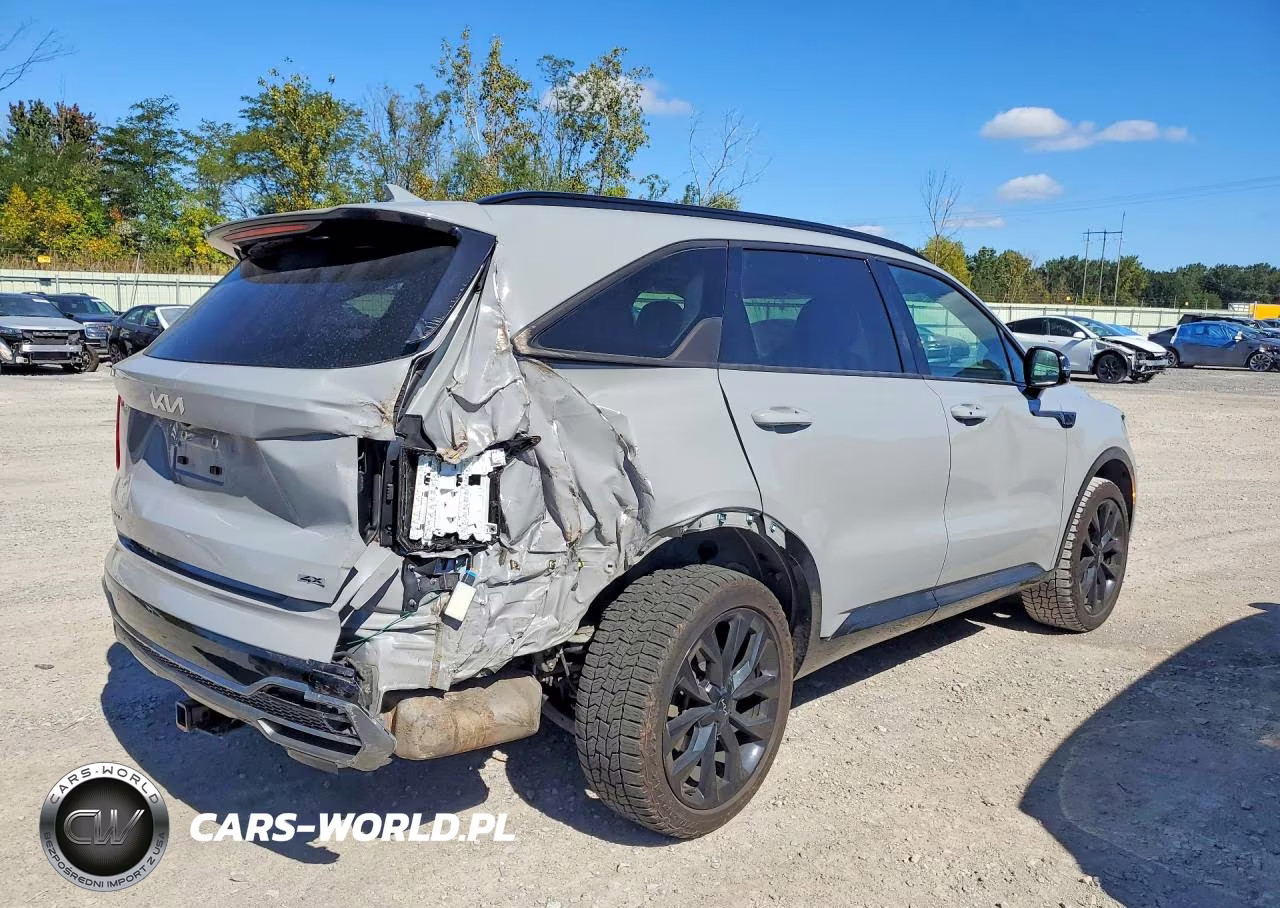 2023 Kia Sorento Sx VIN:5XYRKDLF9PG189390 - 3