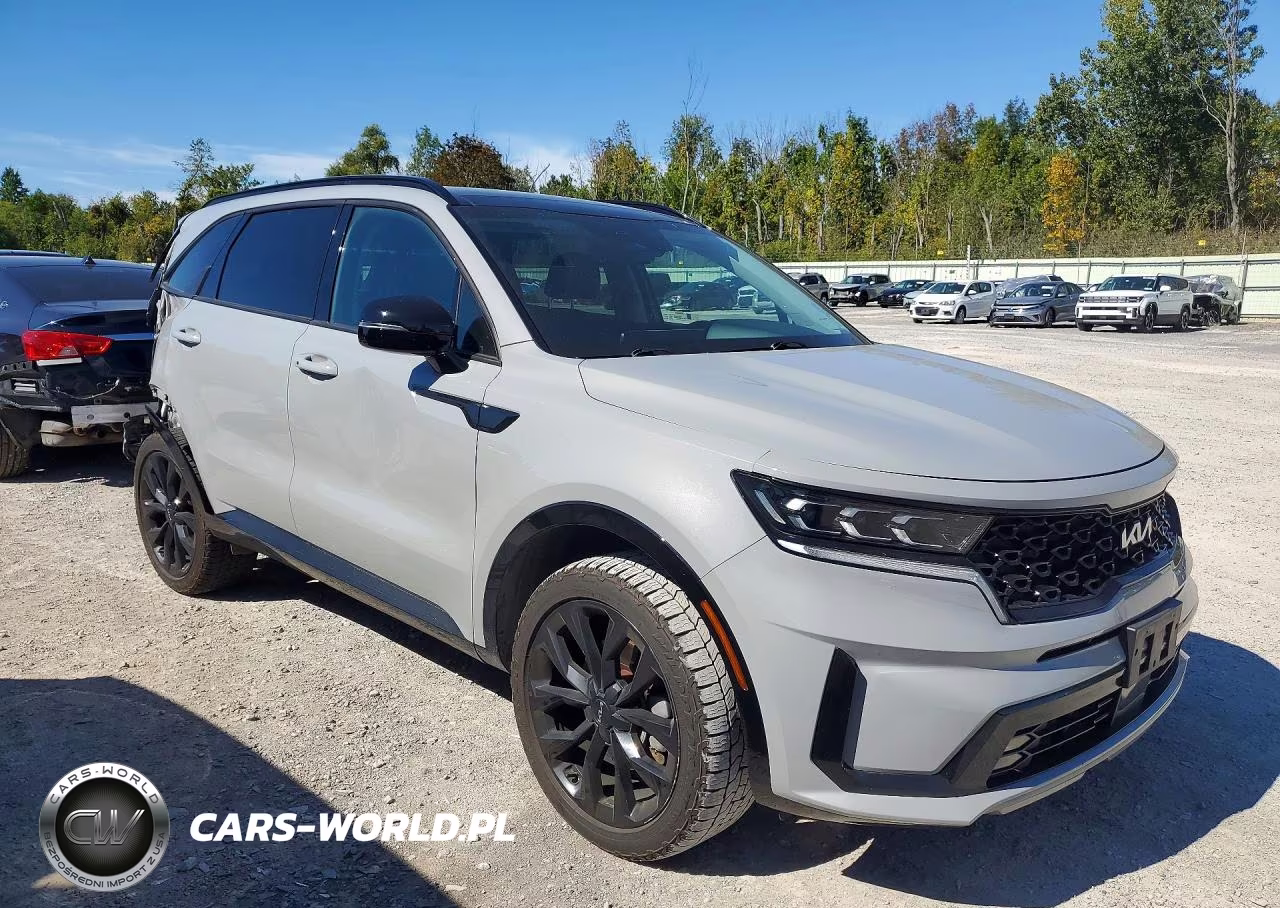 2023 Kia Sorento Sx VIN:5XYRKDLF9PG189390 - 4