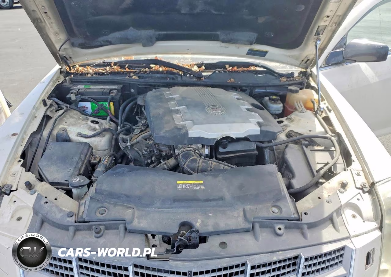 2008 Cadillac Sts VIN:1G6DW67V280127206 - 11