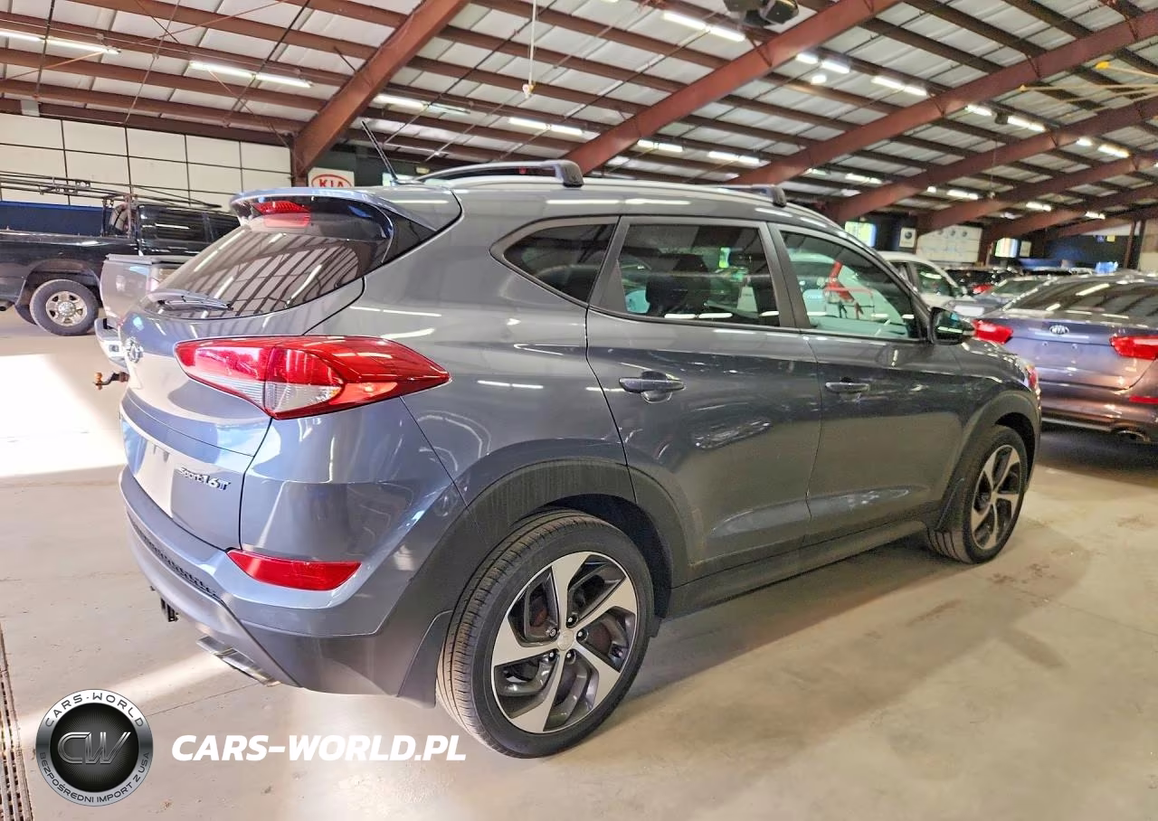 2016 Hyundai Tucson Sport VIN:KM8J33A25GU111171 - 3