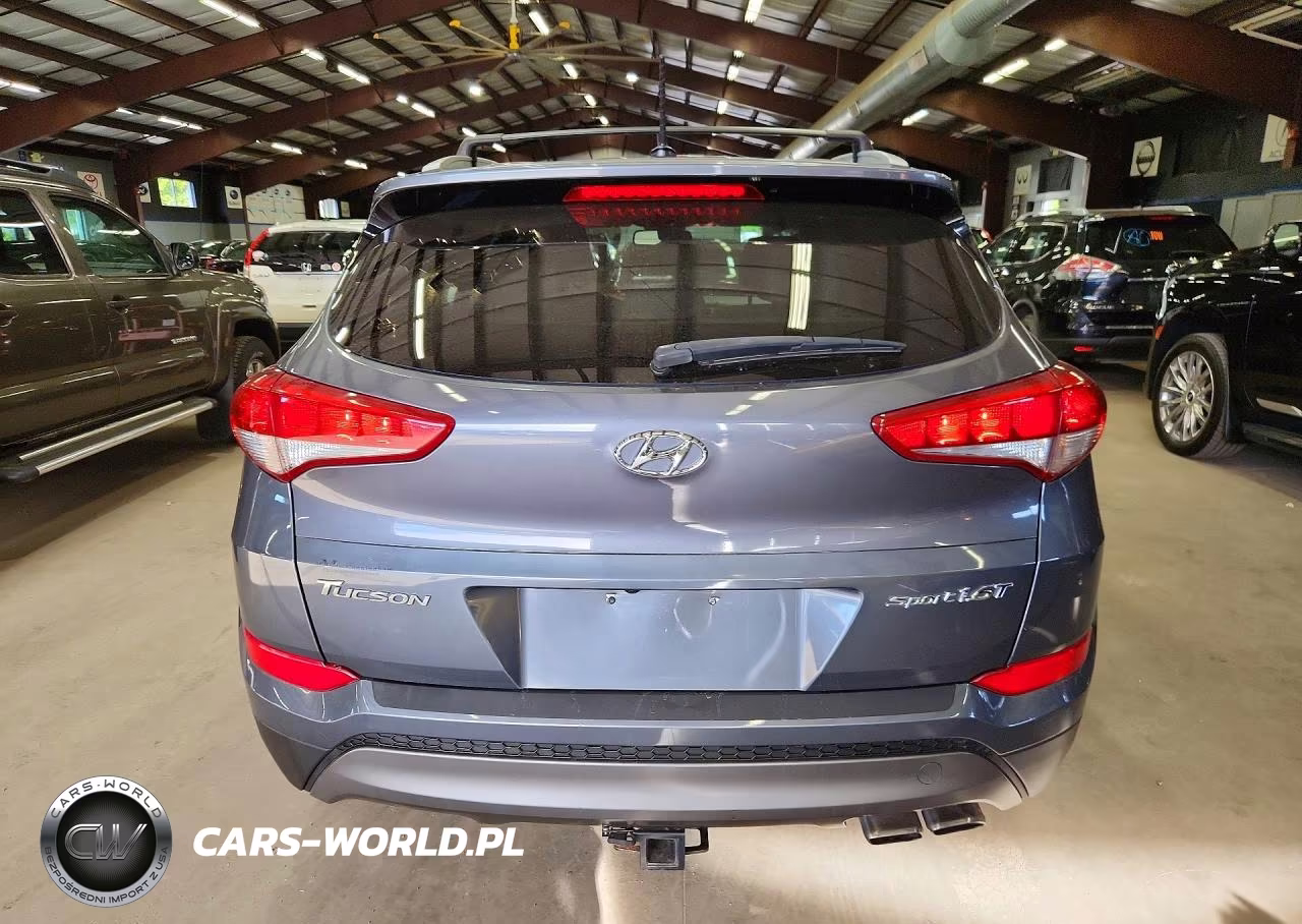 2016 Hyundai Tucson Sport VIN:KM8J33A25GU111171 - 6