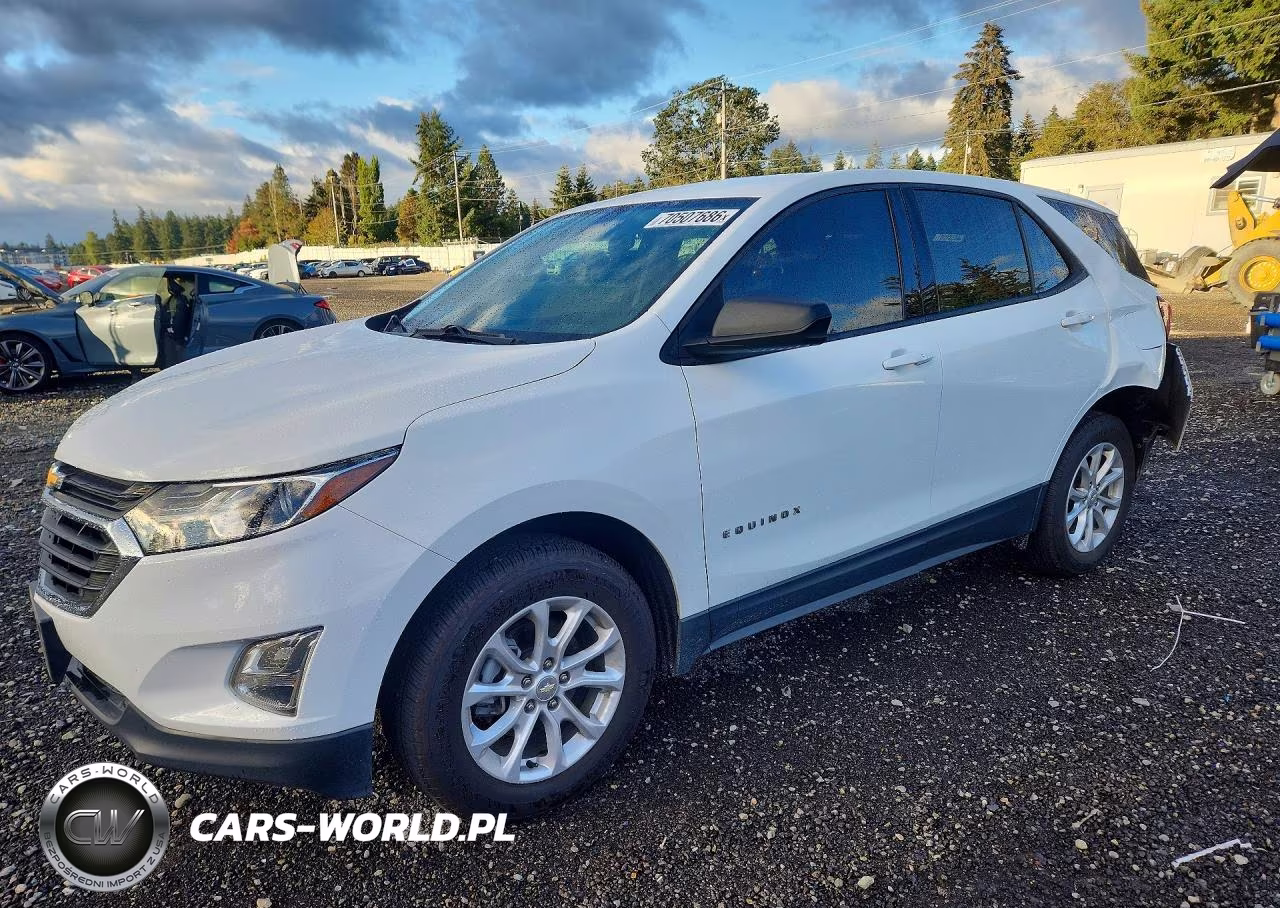 2019 Chevrolet Equinox Ls VIN:3GNAXSEV8KS650018 - 1