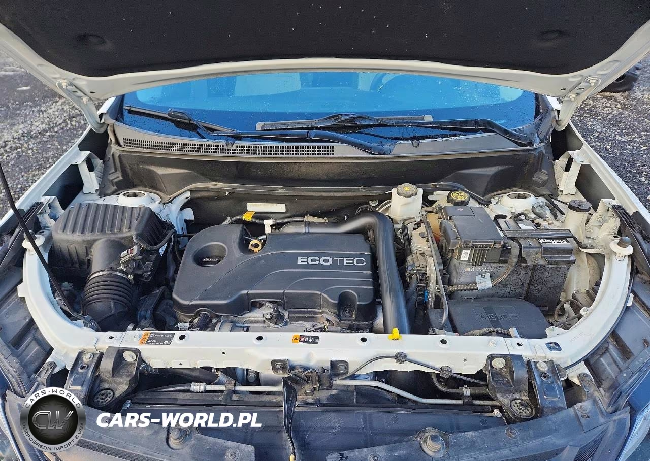 2019 Chevrolet Equinox Ls VIN:3GNAXSEV8KS650018 - 12