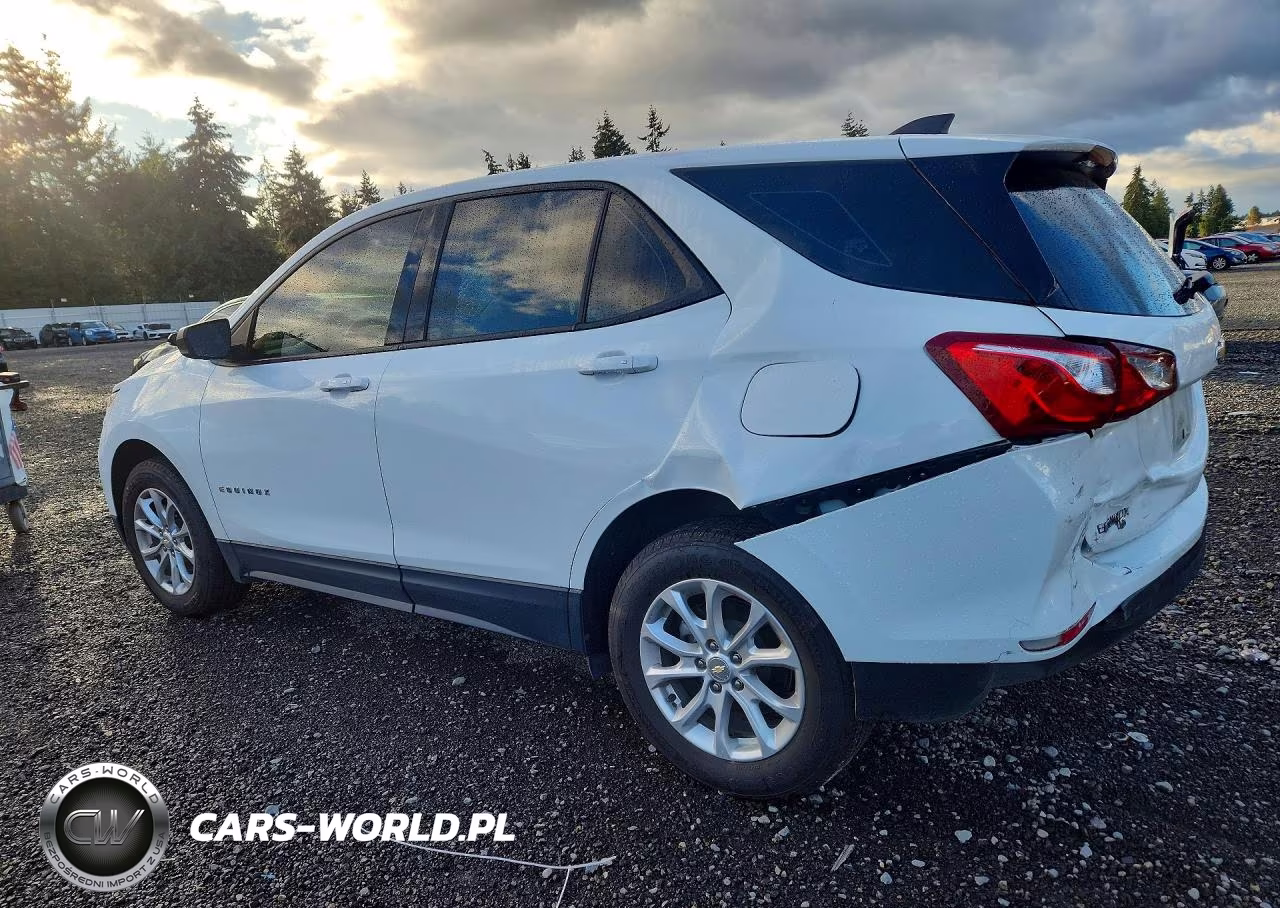 2019 Chevrolet Equinox Ls VIN:3GNAXSEV8KS650018 - 2