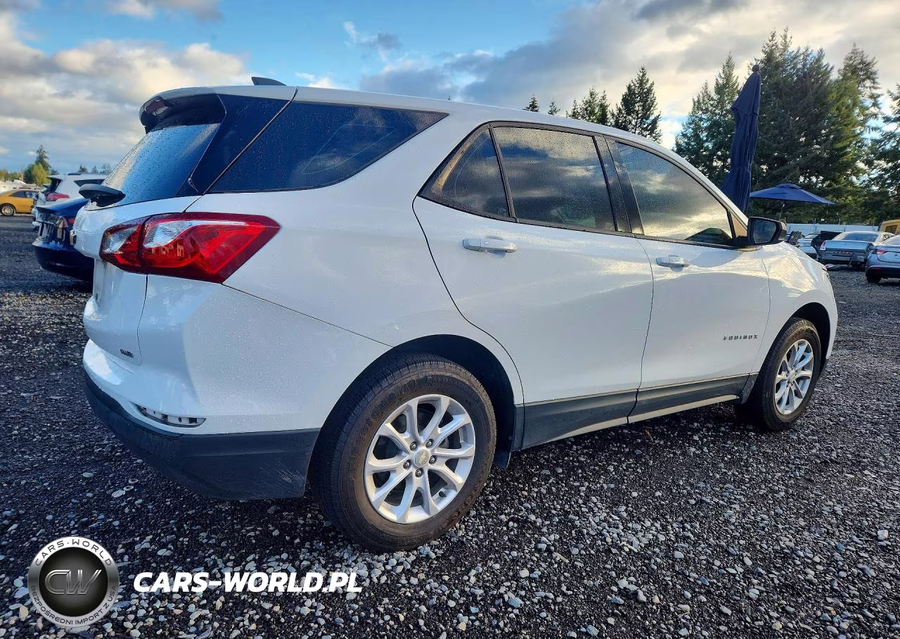 2019 Chevrolet Equinox Ls VIN:3GNAXSEV8KS650018 - 3