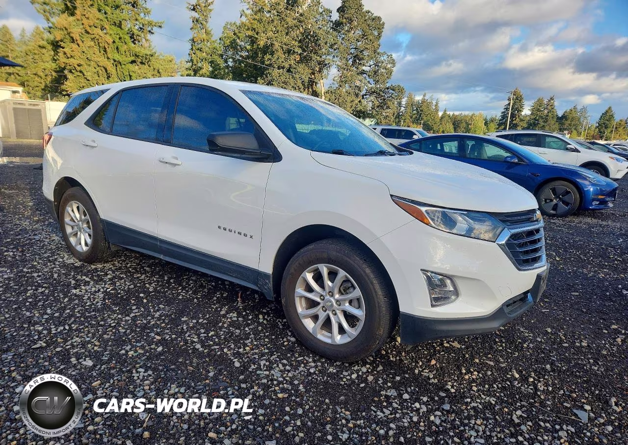 2019 Chevrolet Equinox Ls VIN:3GNAXSEV8KS650018 - 4