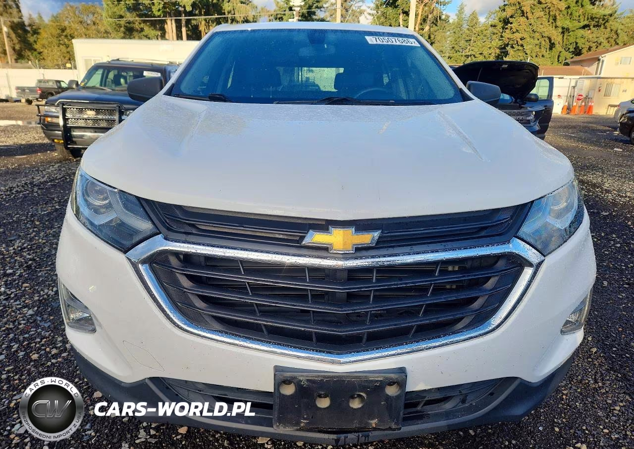 2019 Chevrolet Equinox Ls VIN:3GNAXSEV8KS650018 - 5