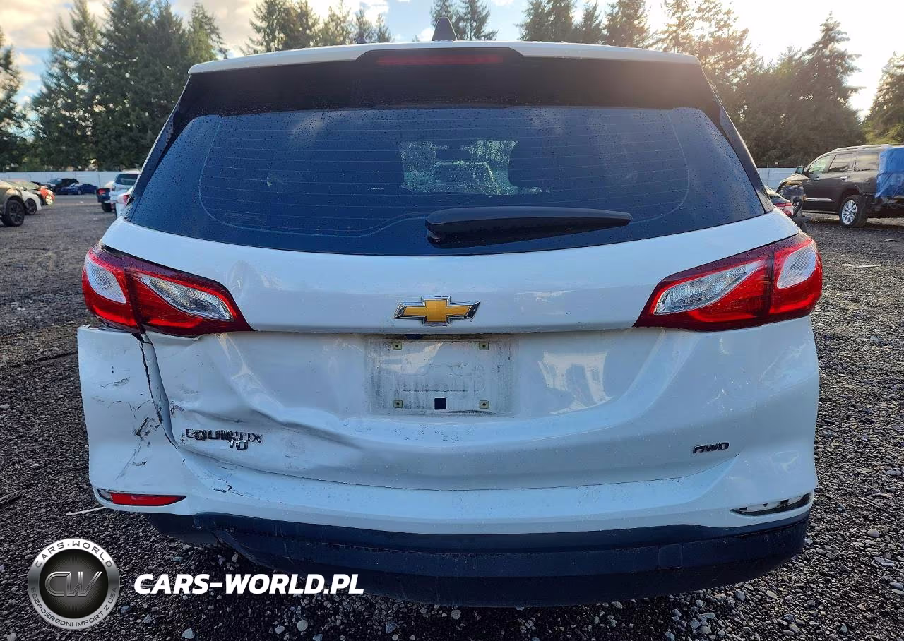 2019 Chevrolet Equinox Ls VIN:3GNAXSEV8KS650018 - 6
