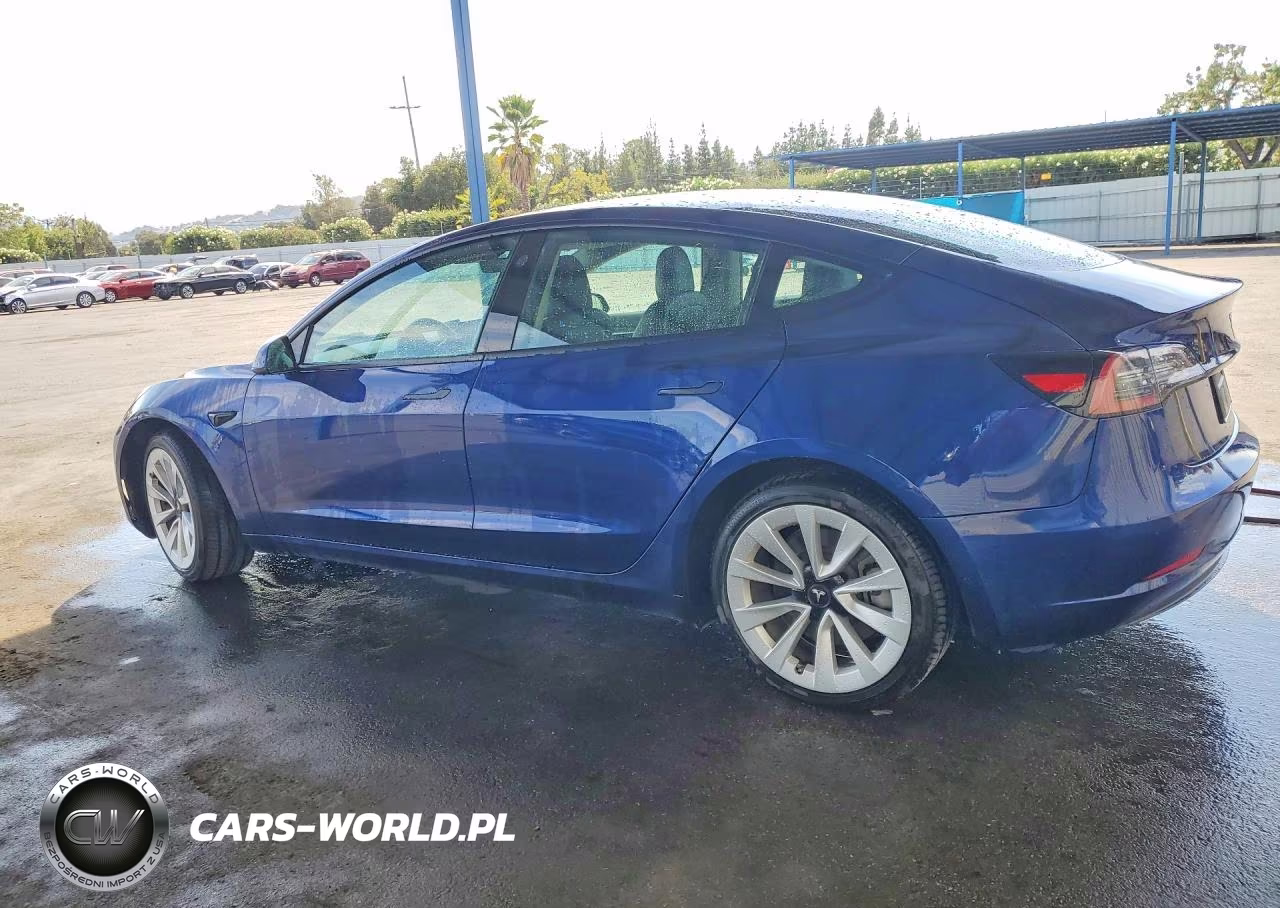 2023 Tesla Model 3 VIN:5YJ3E1EA1PF447129 - 2
