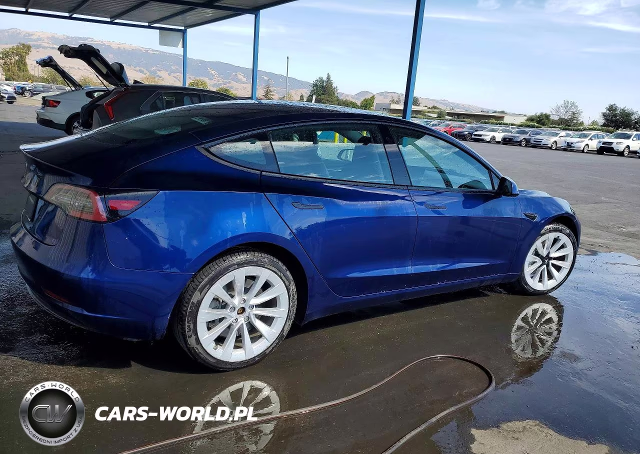 2023 Tesla Model 3 VIN:5YJ3E1EA1PF447129 - 3