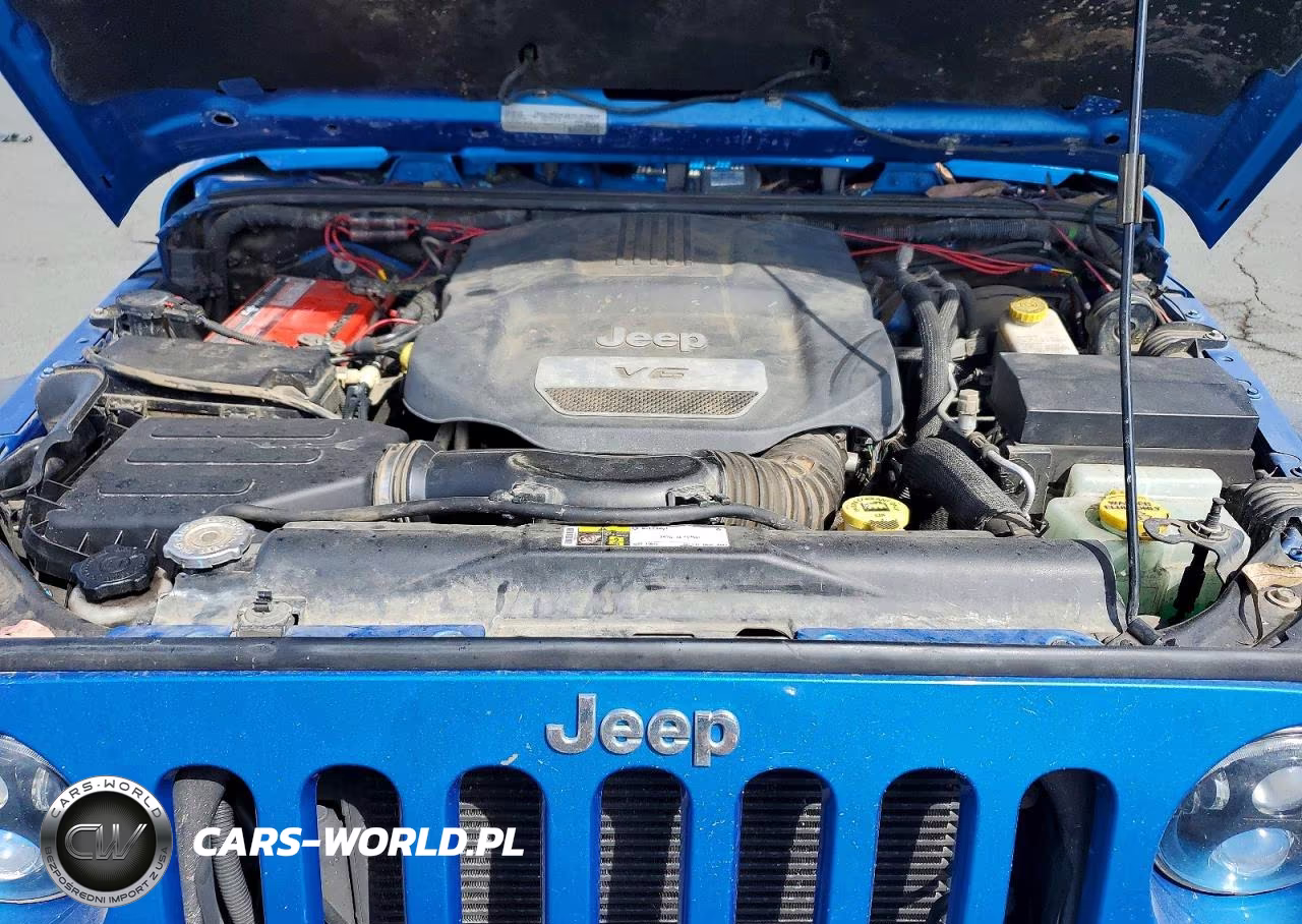2016 Jeep Wrangler Unlimited Rubicon VIN:1C4BJWFG0GL270092 - 11