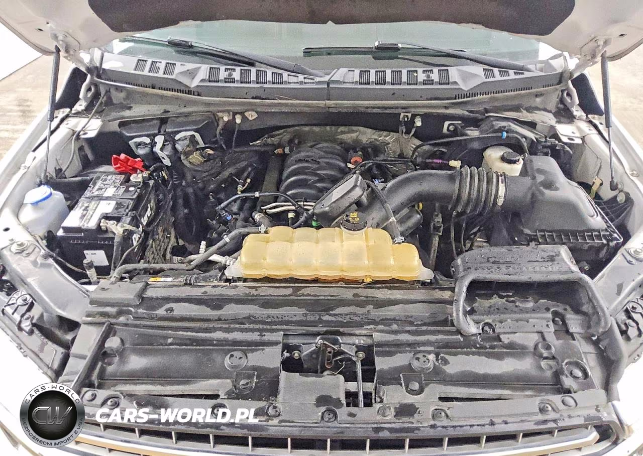 2019 Ford F150 Supercrew VIN:1FTEW1E50KFB82555 - 11