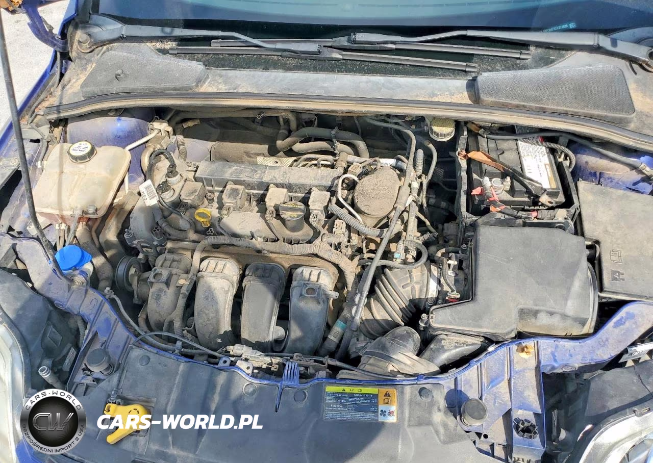 2012 Ford Focus Sel VIN:1FAHP3M2XCL373888 - 11