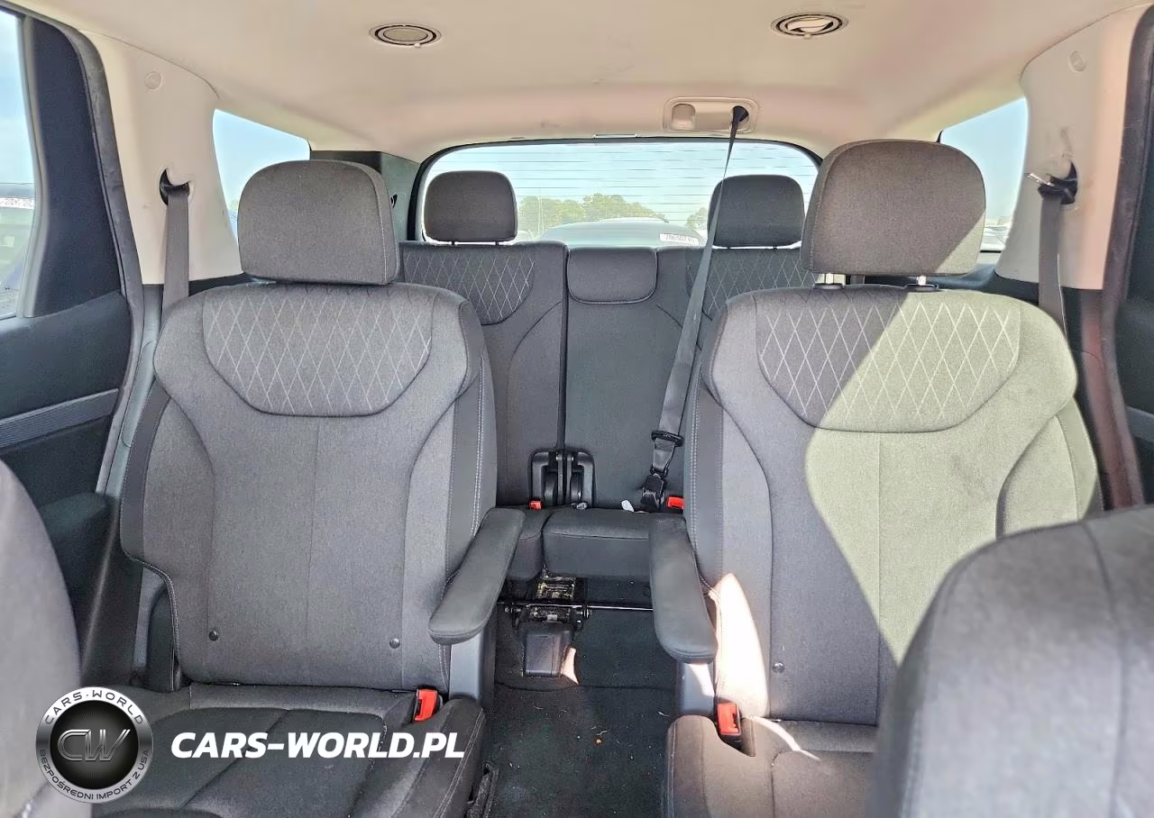 2021 Hyundai Palisade Sel VIN:KM8R2DHE3MU321906 - 10