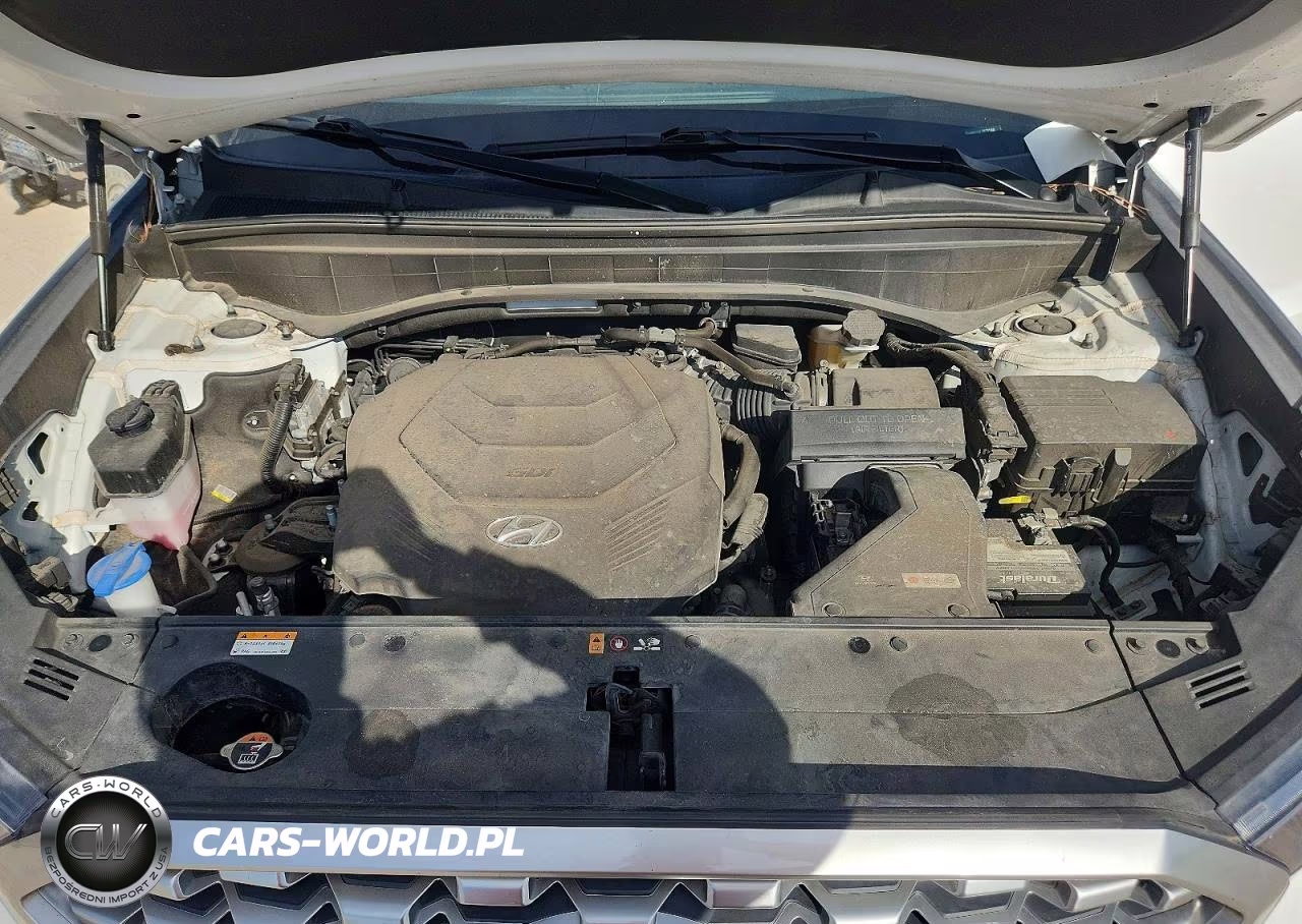 2021 Hyundai Palisade Sel VIN:KM8R2DHE3MU321906 - 12
