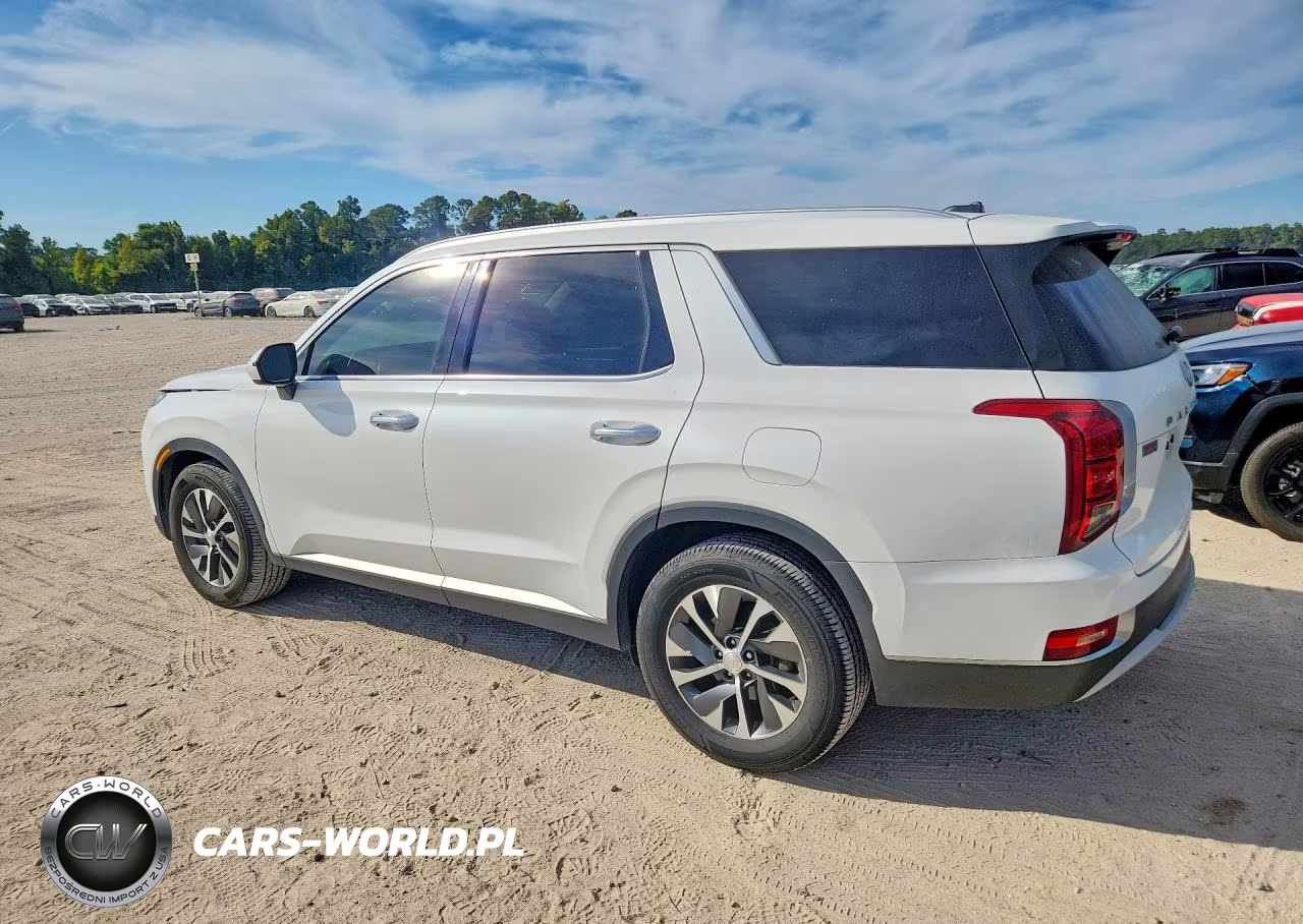 2021 Hyundai Palisade Sel VIN:KM8R2DHE3MU321906 - 2