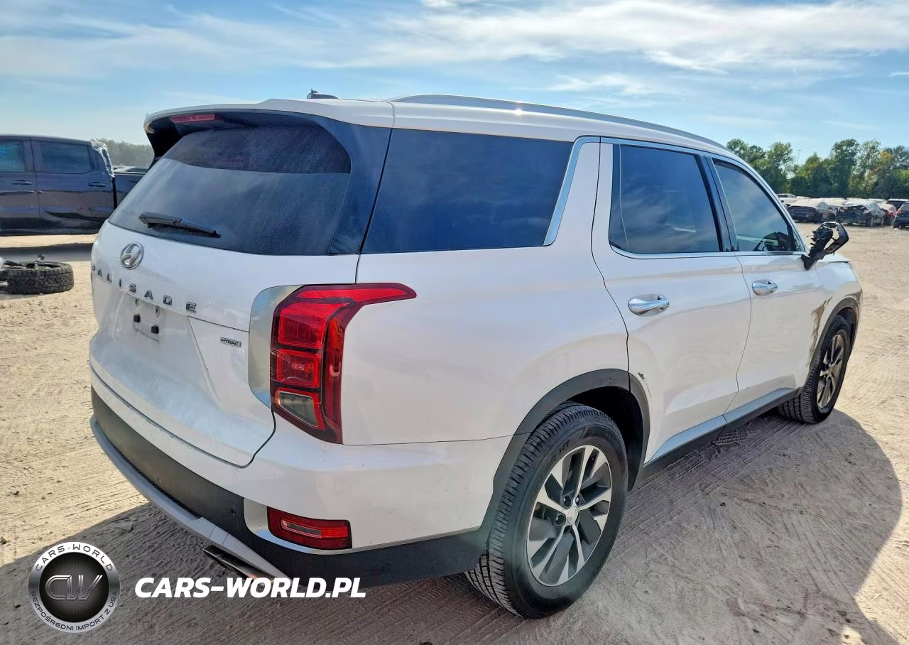 2021 Hyundai Palisade Sel VIN:KM8R2DHE3MU321906 - 3