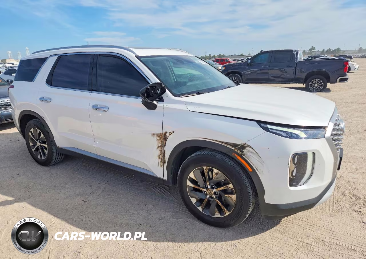 2021 Hyundai Palisade Sel VIN:KM8R2DHE3MU321906 - 4