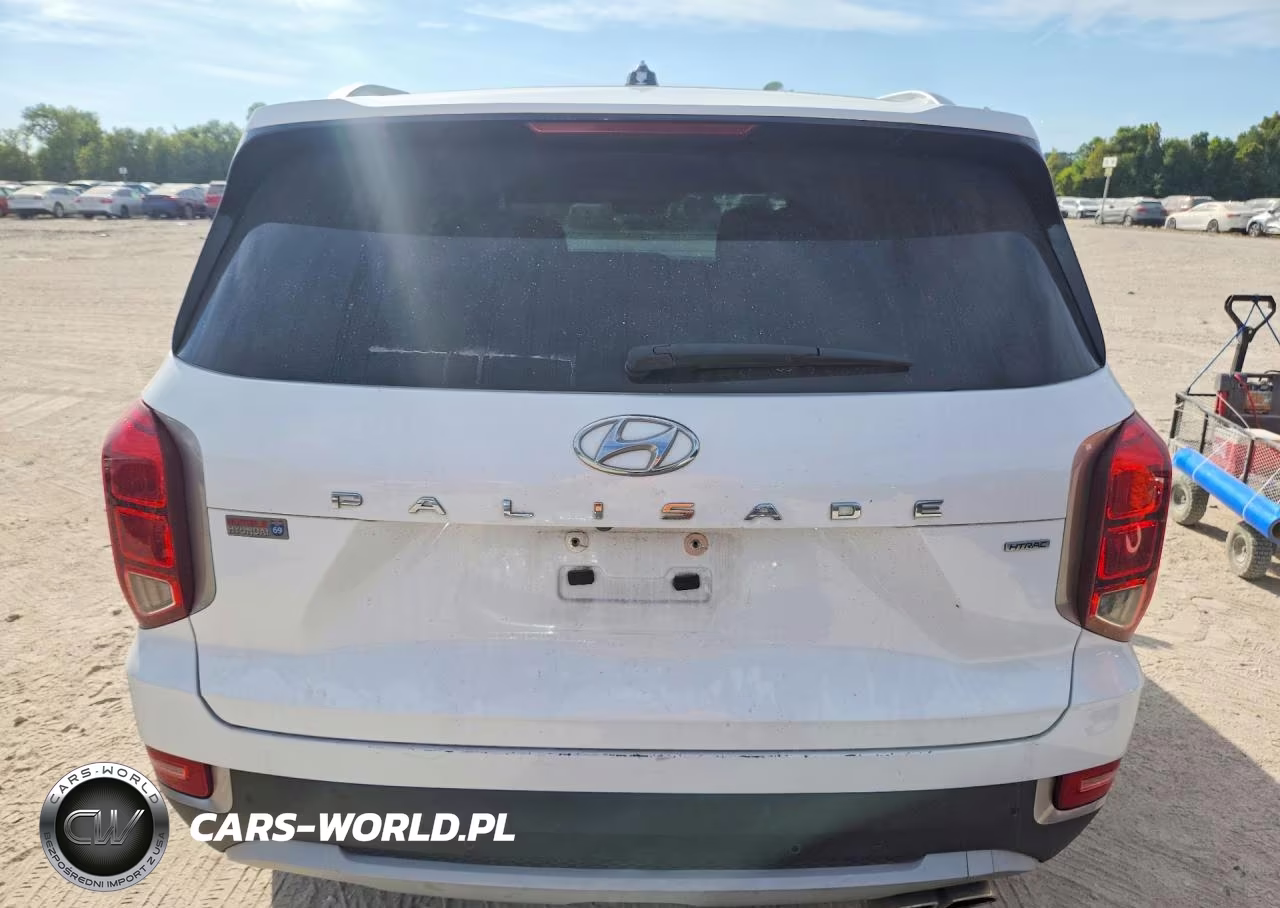 2021 Hyundai Palisade Sel VIN:KM8R2DHE3MU321906 - 6