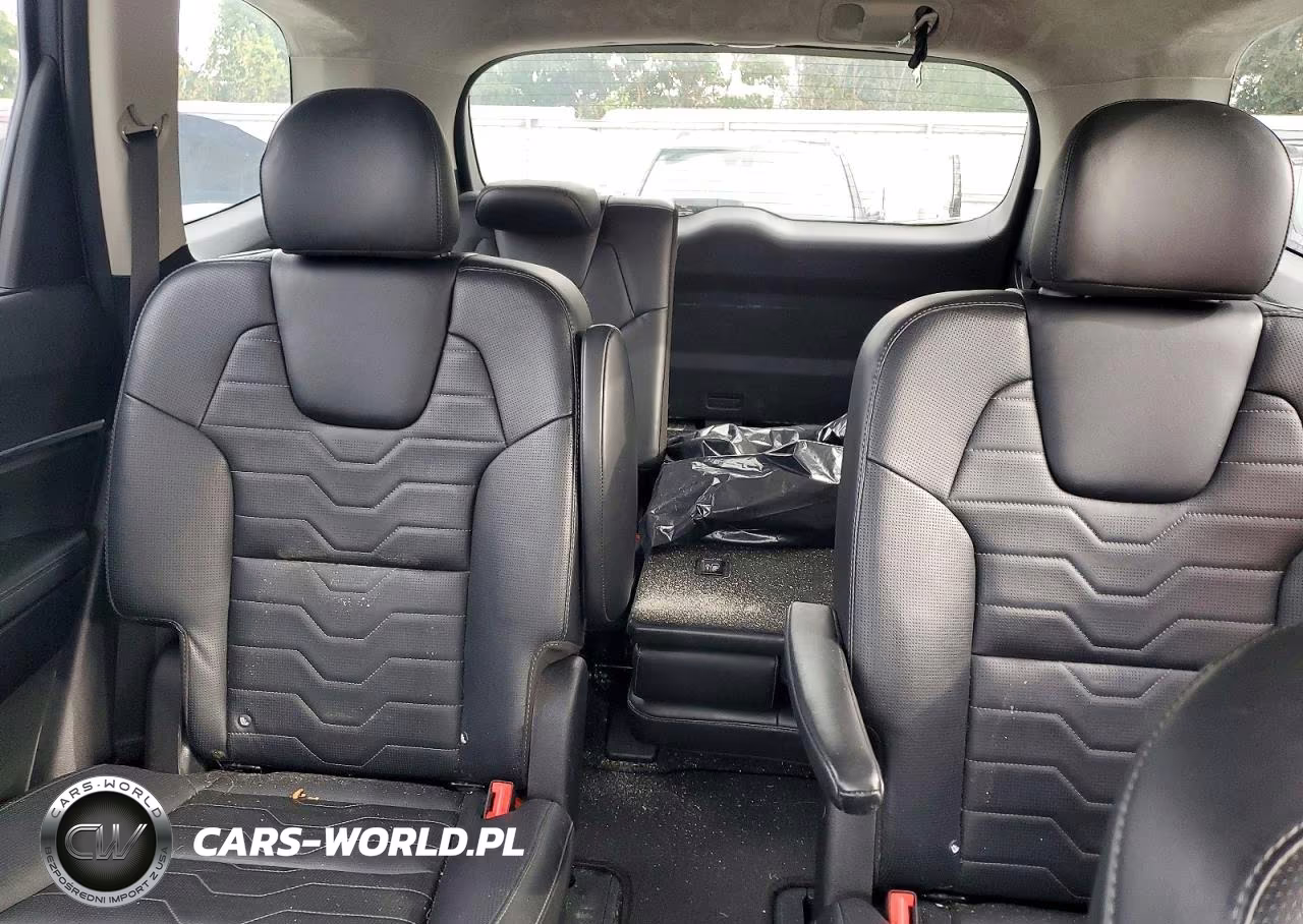 2020 Kia Telluride Sx VIN:5XYP5DHC9LG048519 - 10
