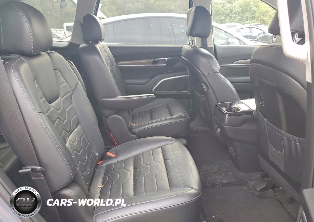 2020 Kia Telluride Sx VIN:5XYP5DHC9LG048519 - 11