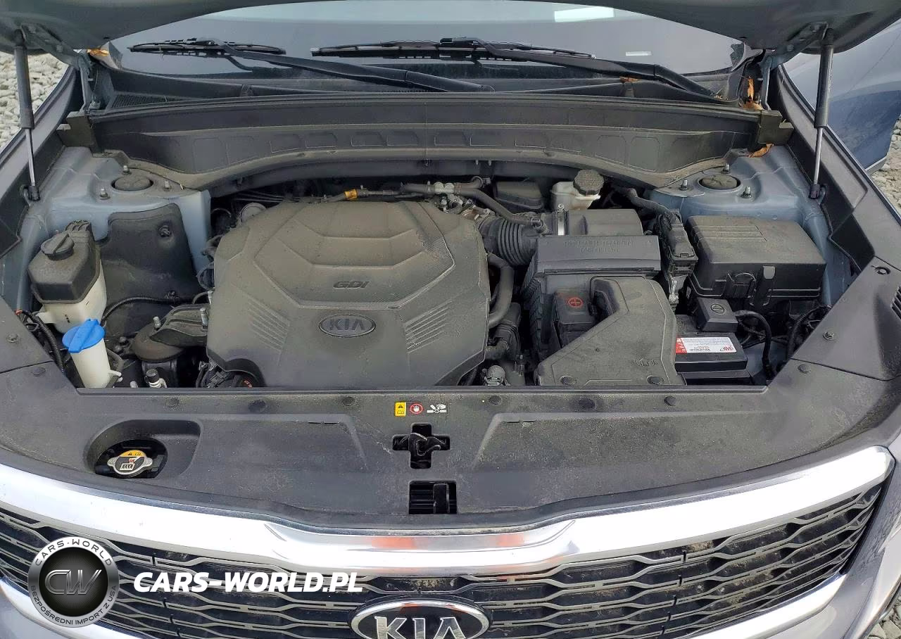 2020 Kia Telluride Sx VIN:5XYP5DHC9LG048519 - 12