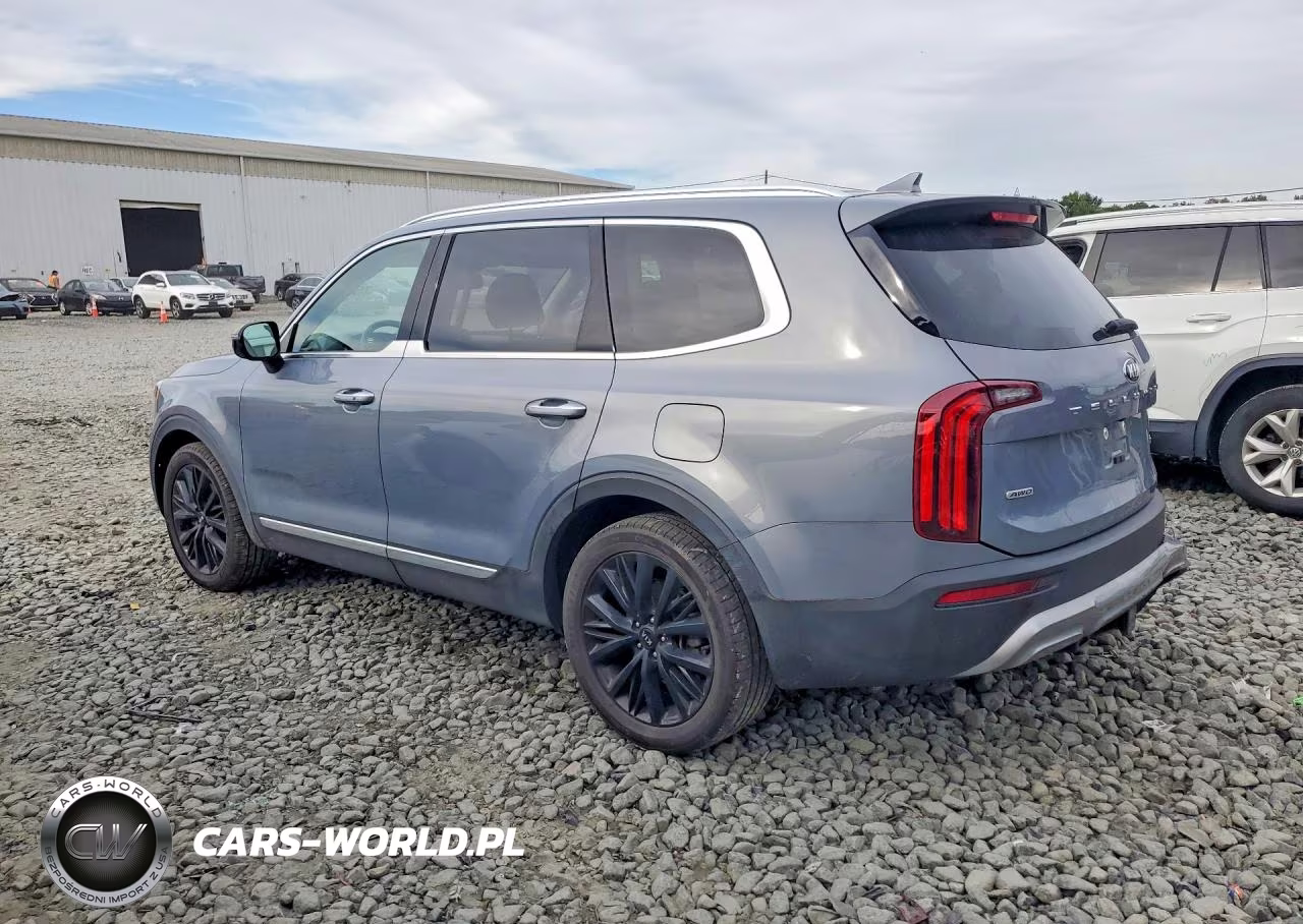 2020 Kia Telluride Sx VIN:5XYP5DHC9LG048519 - 2