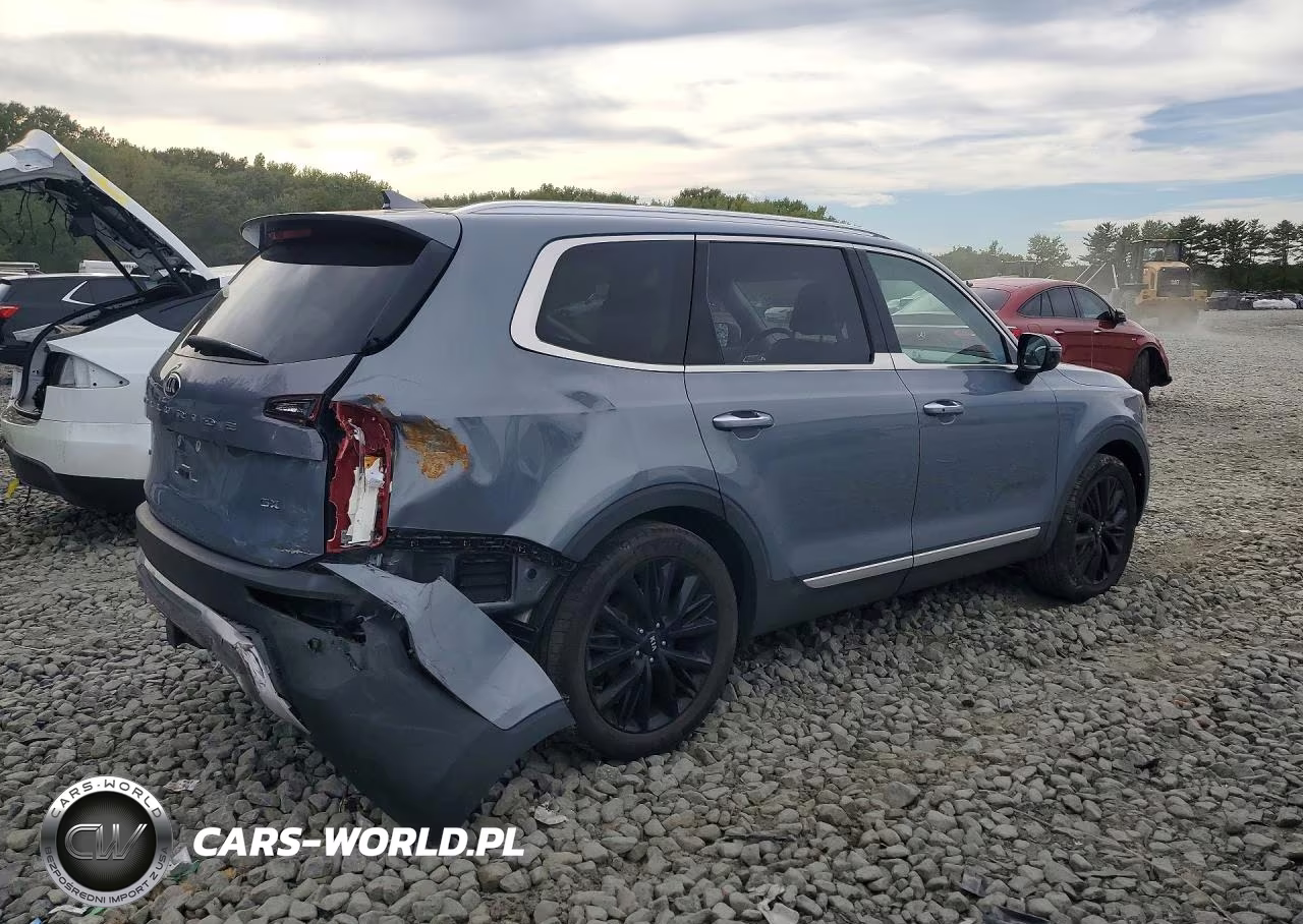 2020 Kia Telluride Sx VIN:5XYP5DHC9LG048519 - 3