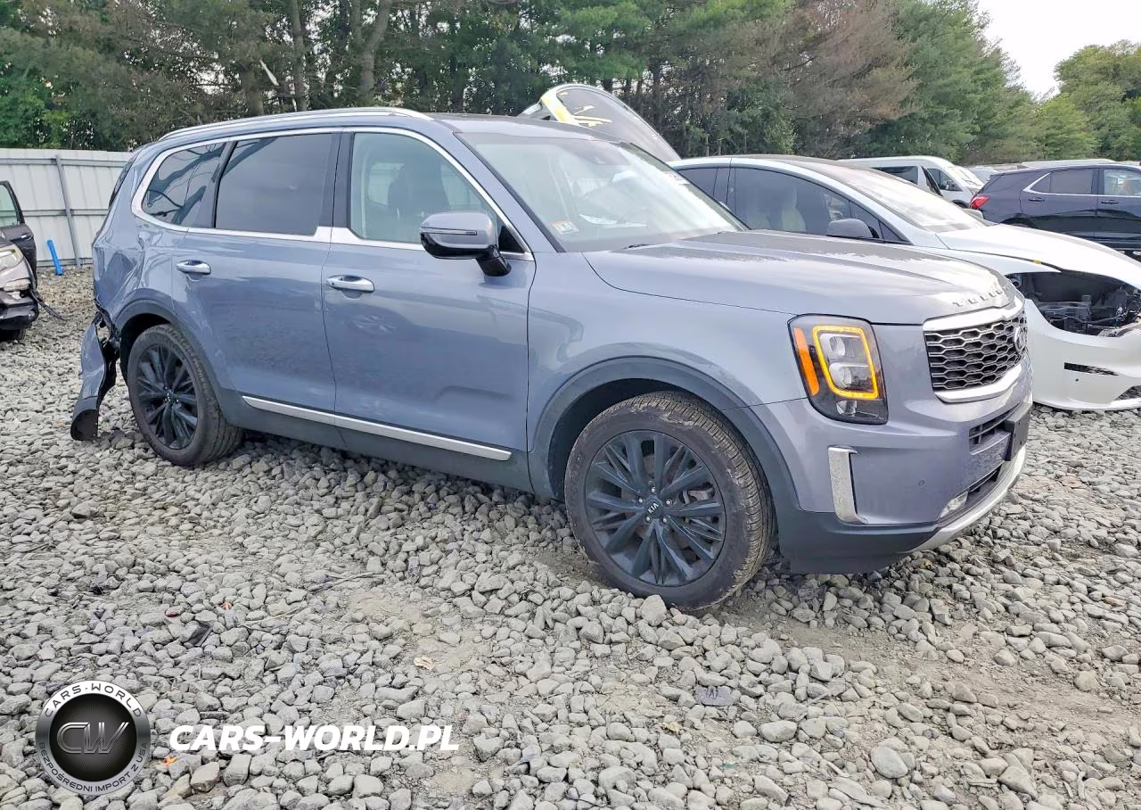 2020 Kia Telluride Sx VIN:5XYP5DHC9LG048519 - 4