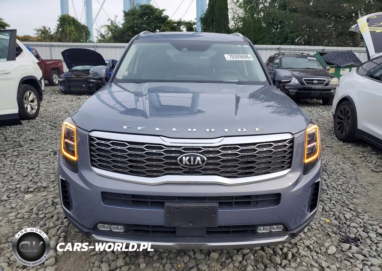 2020 Kia Telluride Sx VIN:5XYP5DHC9LG048519 - 5