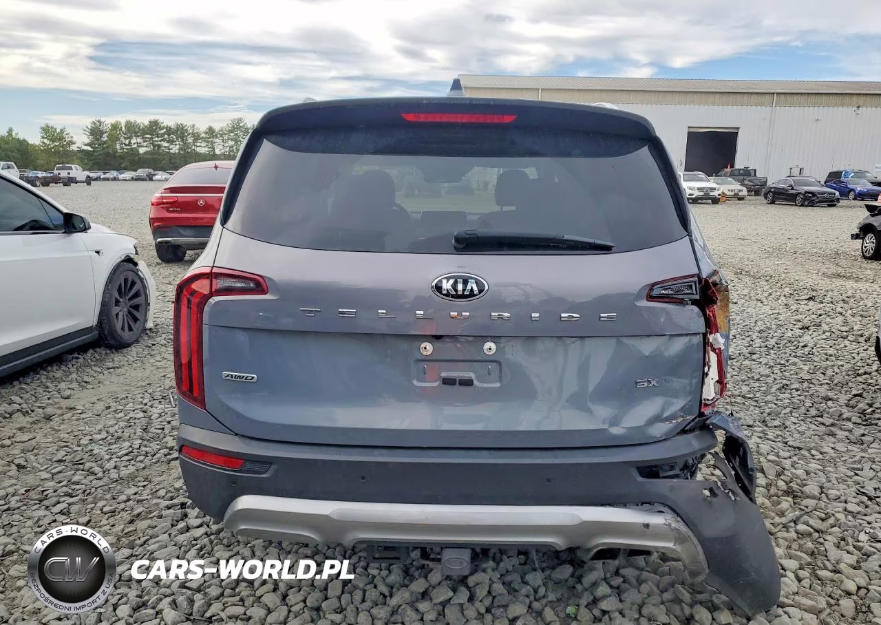 2020 Kia Telluride Sx VIN:5XYP5DHC9LG048519 - 6