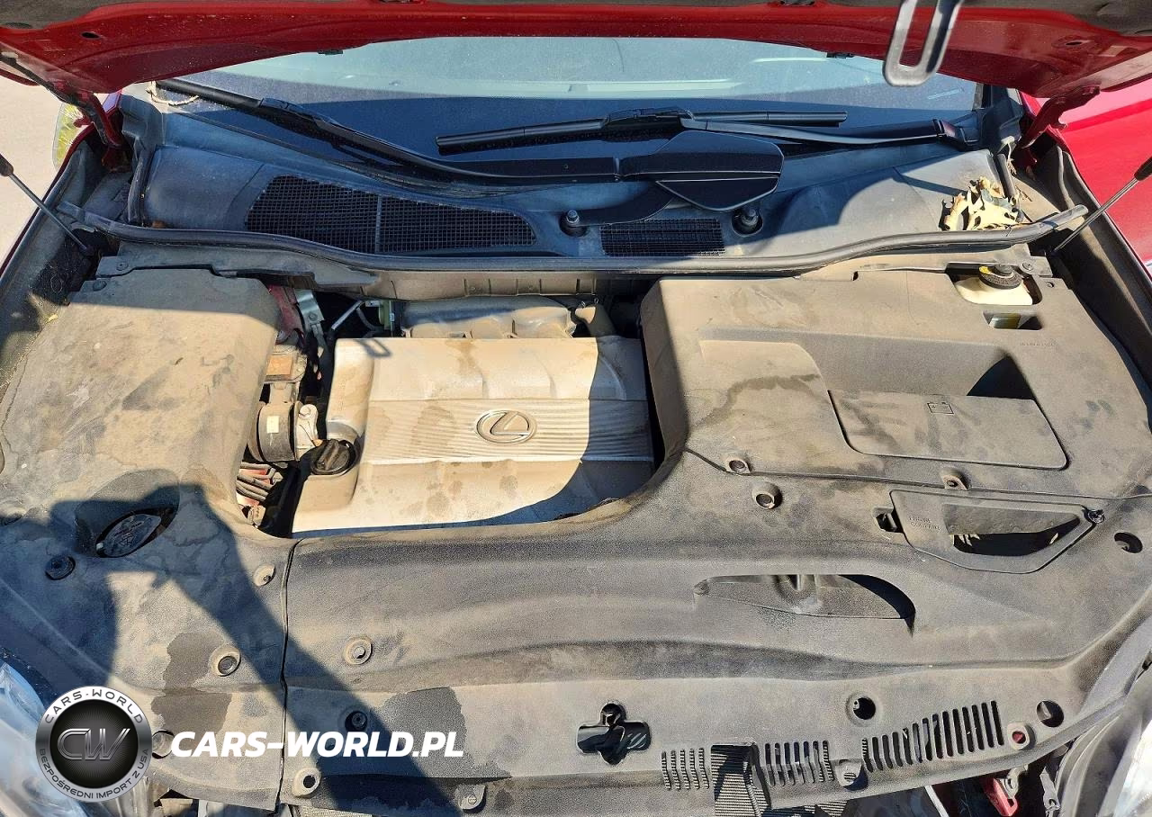 2010 Lexus Rx 350 VIN:2T2BK1BA4AC004831 - 12